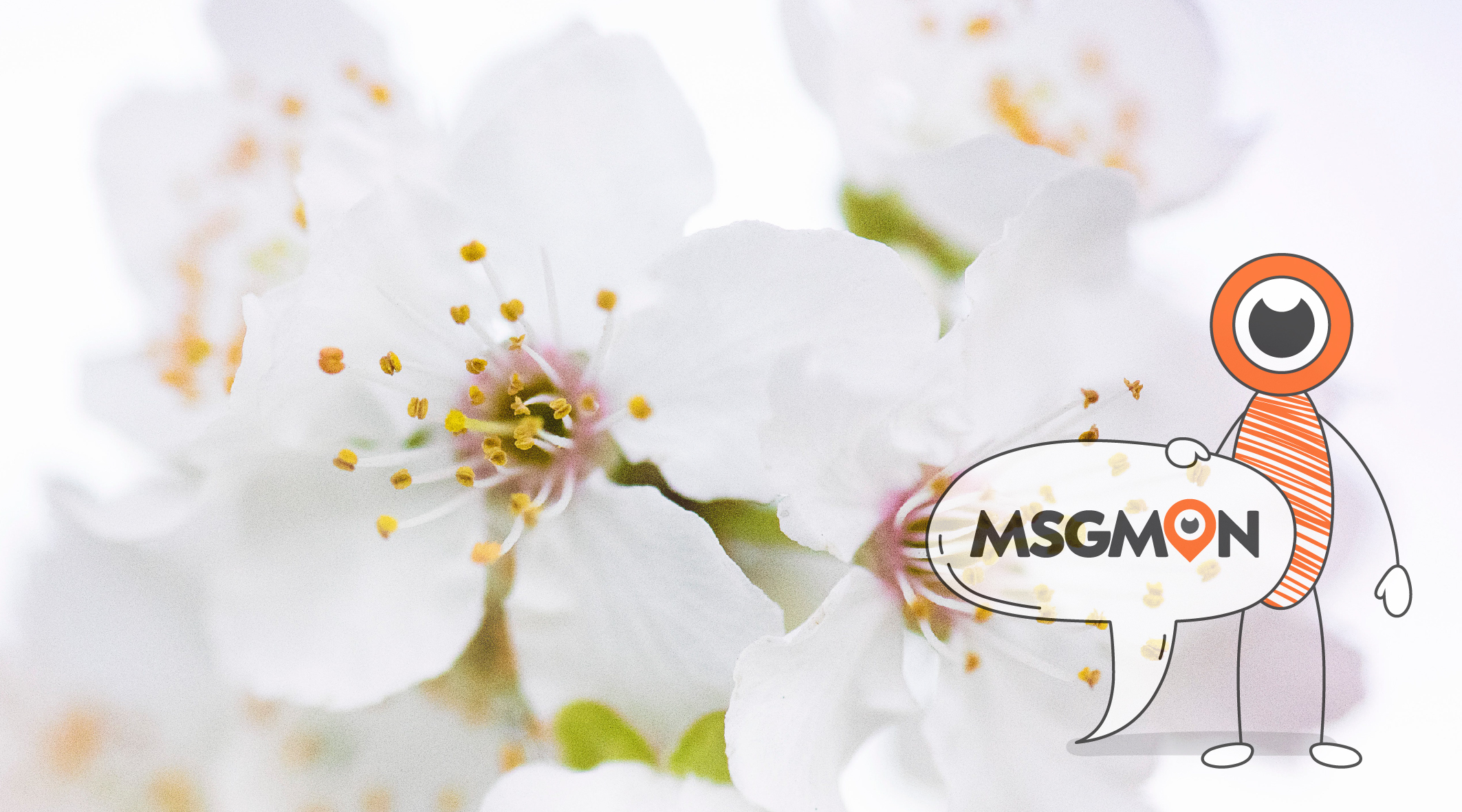 스웨디시 가는 이유