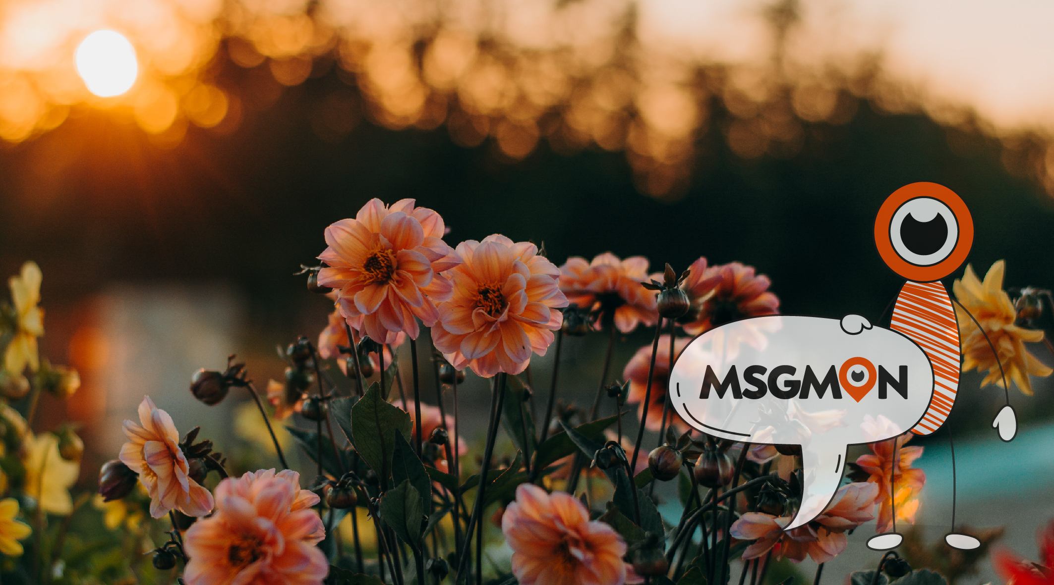 스웨디시 가는 이유