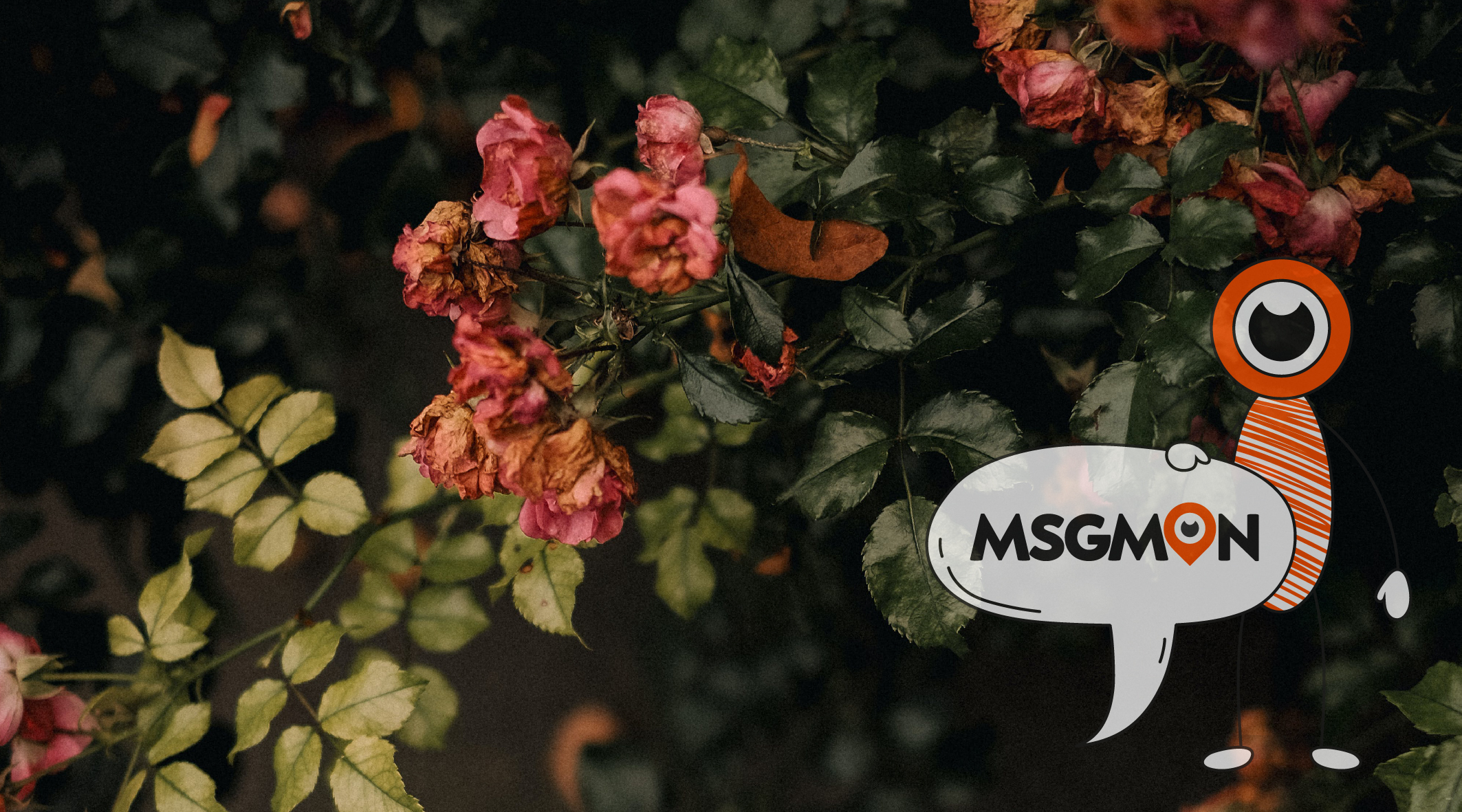 마사지샵 방문기록