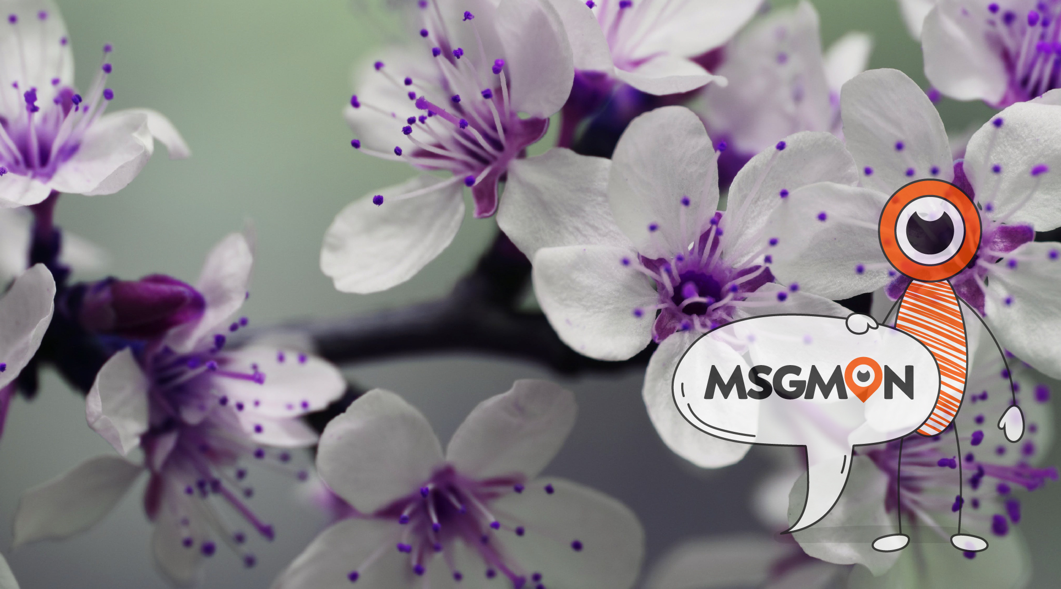 스웨디시 마사지 퇴폐인가요?