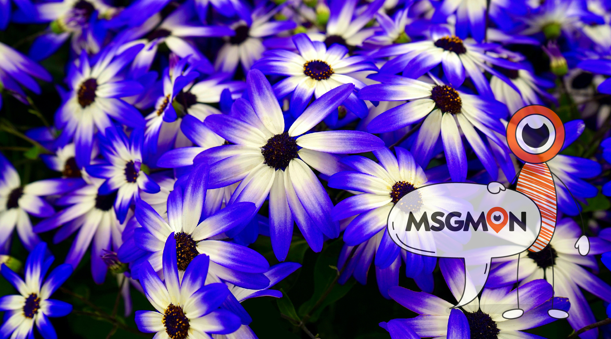 다양한 건마 종류