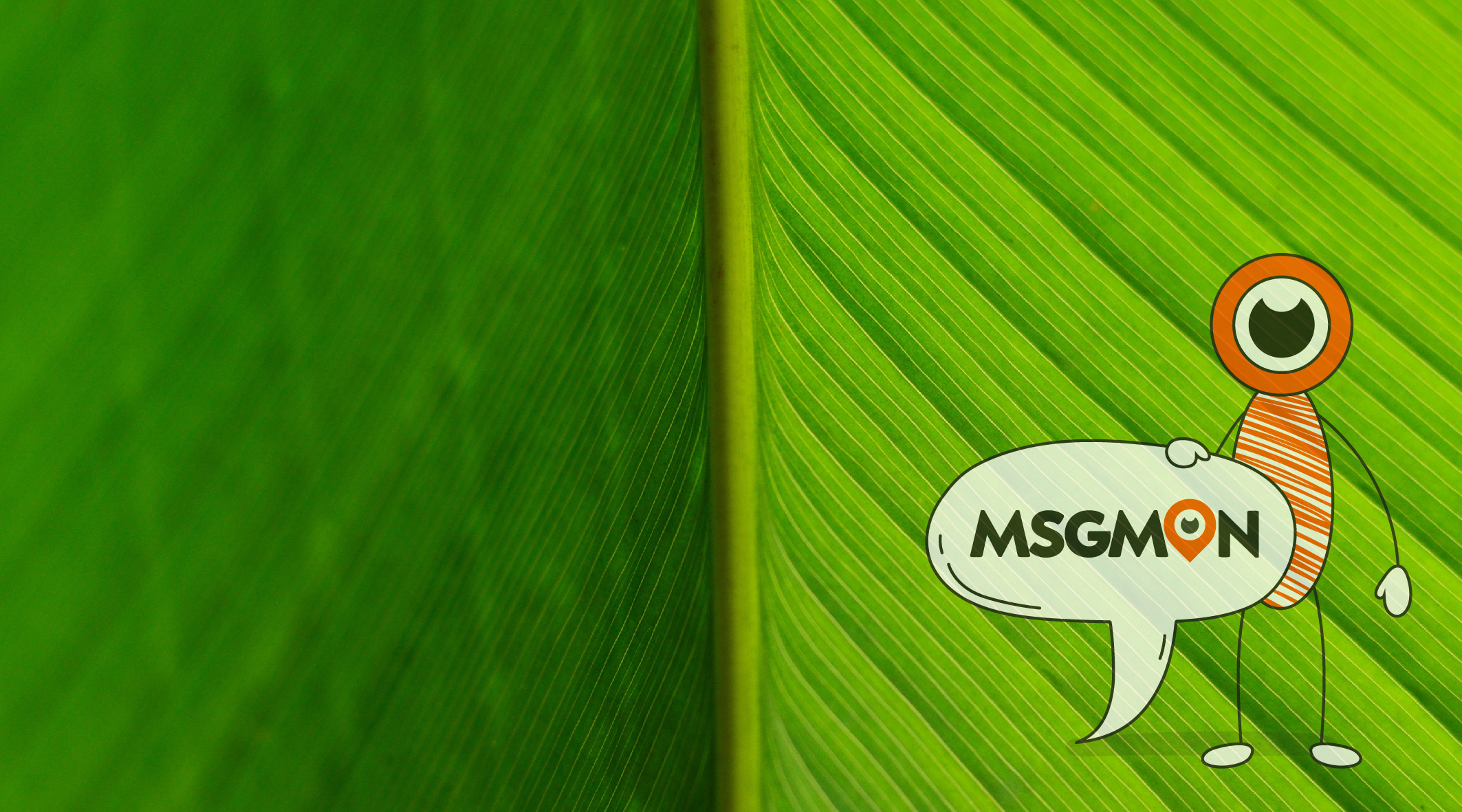 소프트 스웨디시