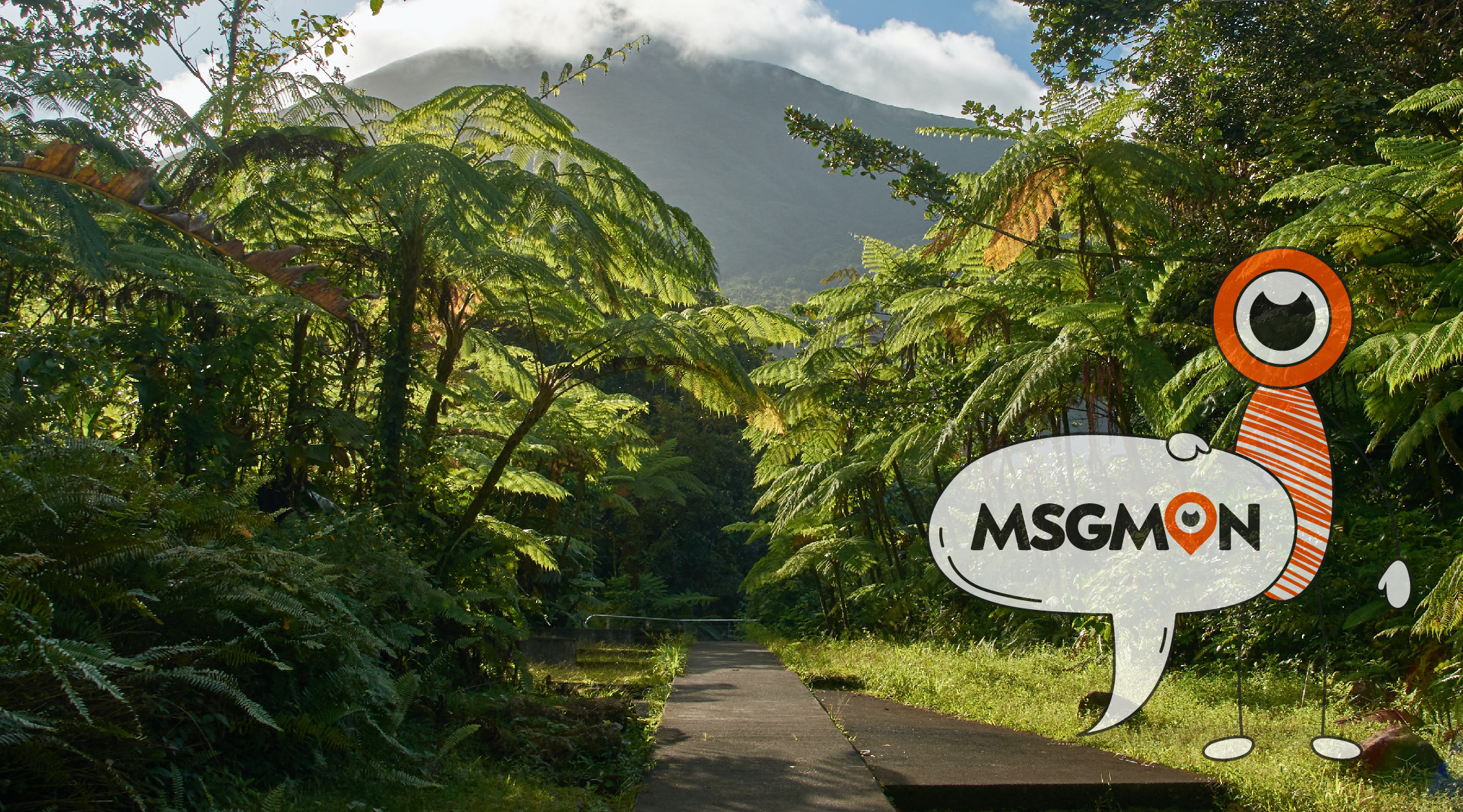 스웨디시 소프트