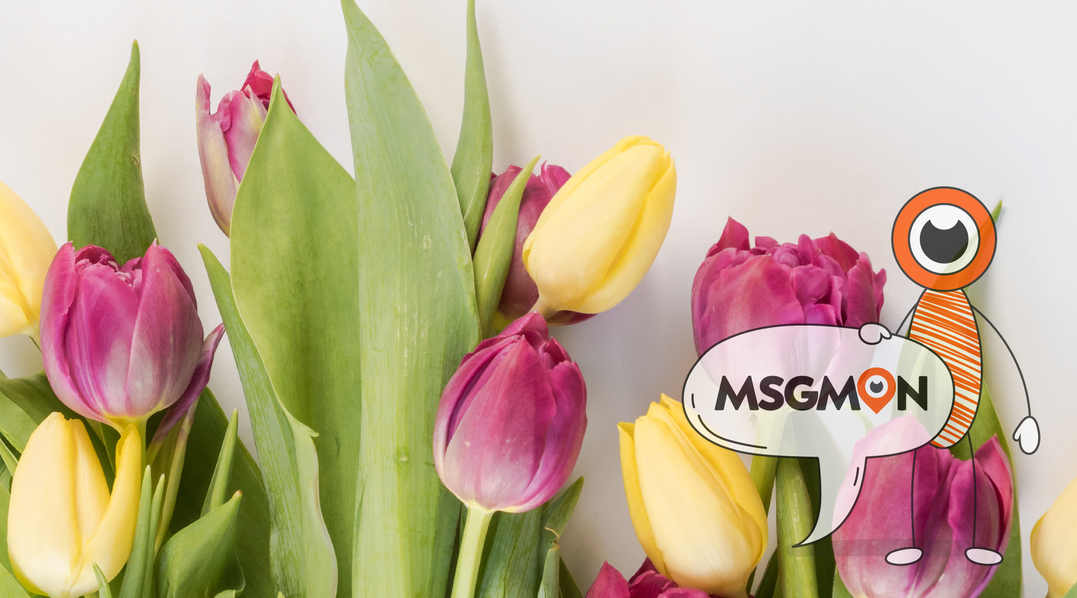 건전 마사지 효능