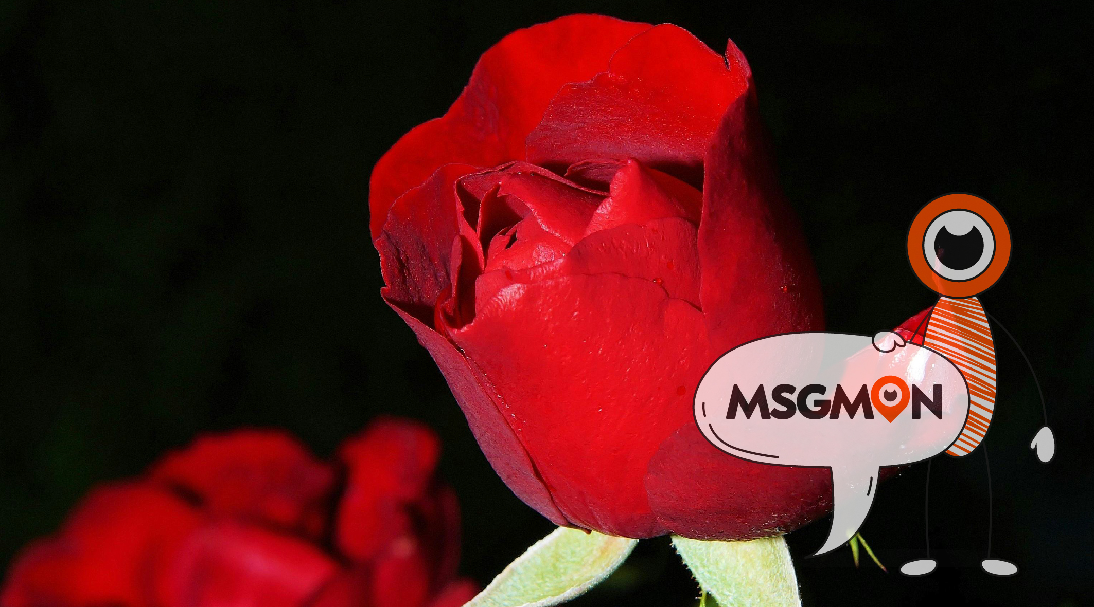 스웨디시 릴레이 코스