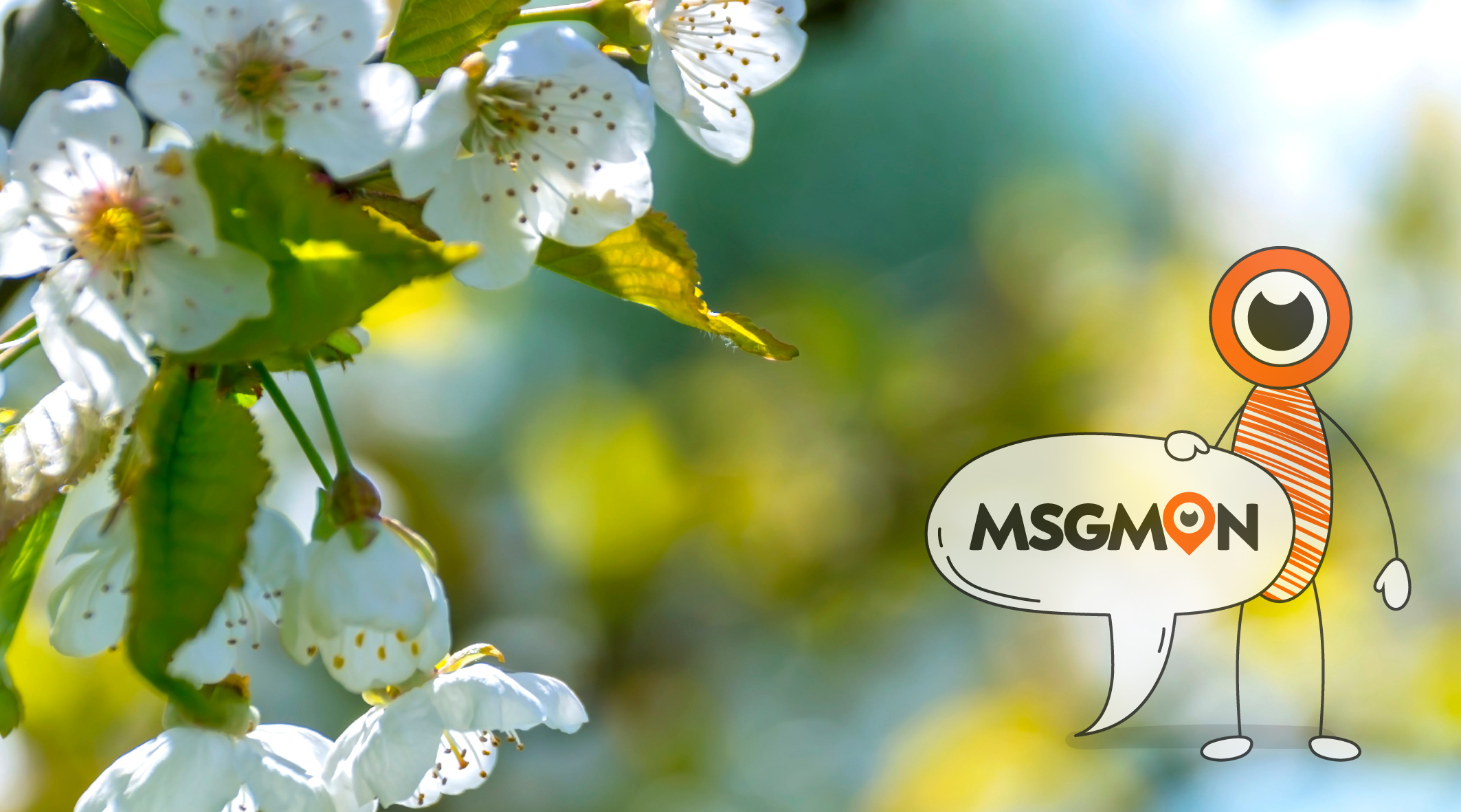 스웨디시 슈얼 차이점