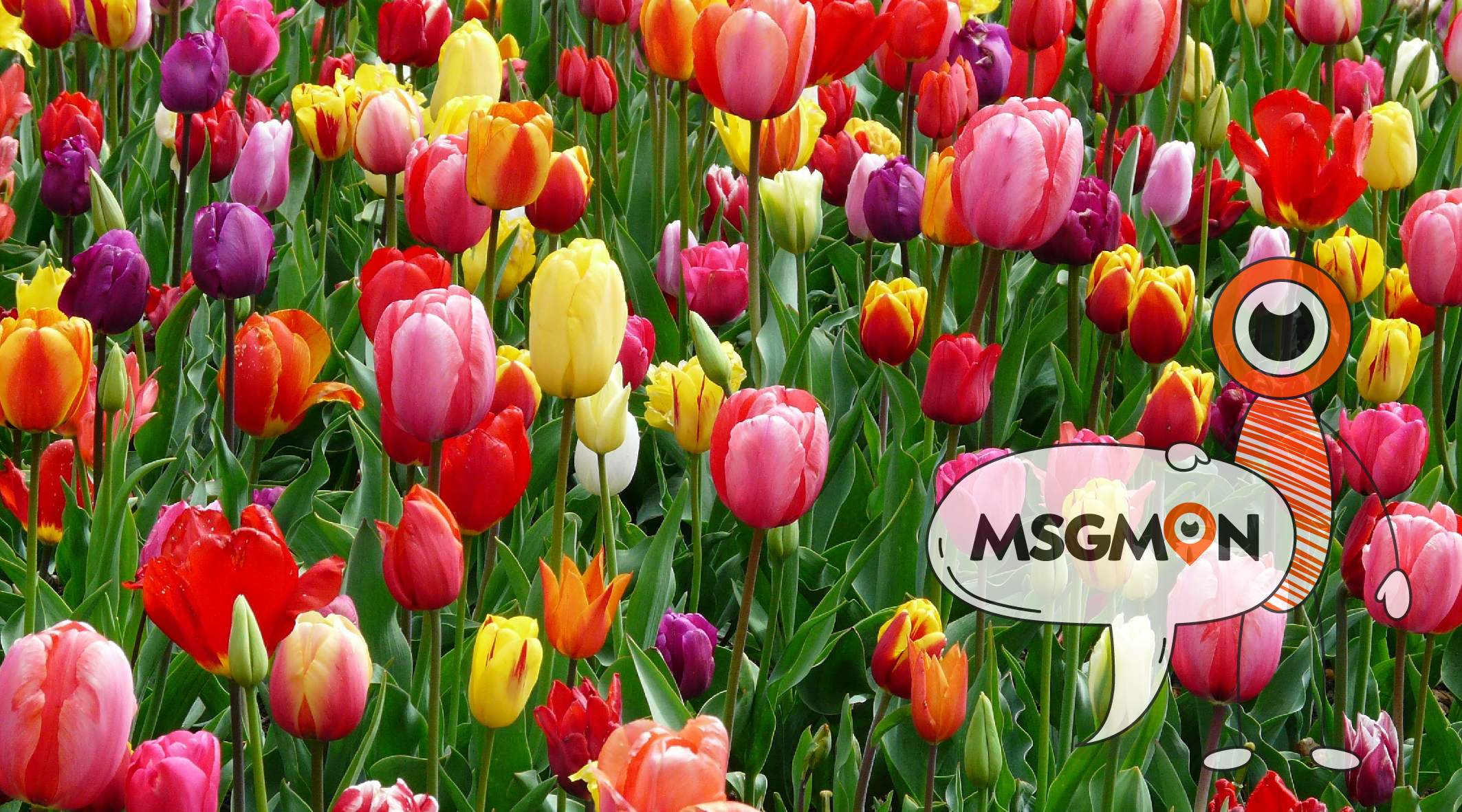 1인 스웨디시 단속 대처