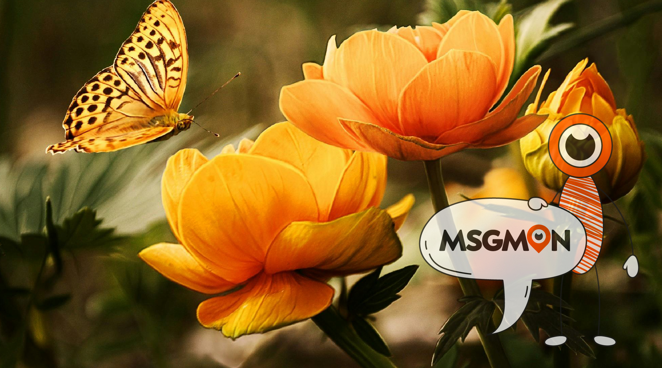 1인 스웨디시 단속 대처