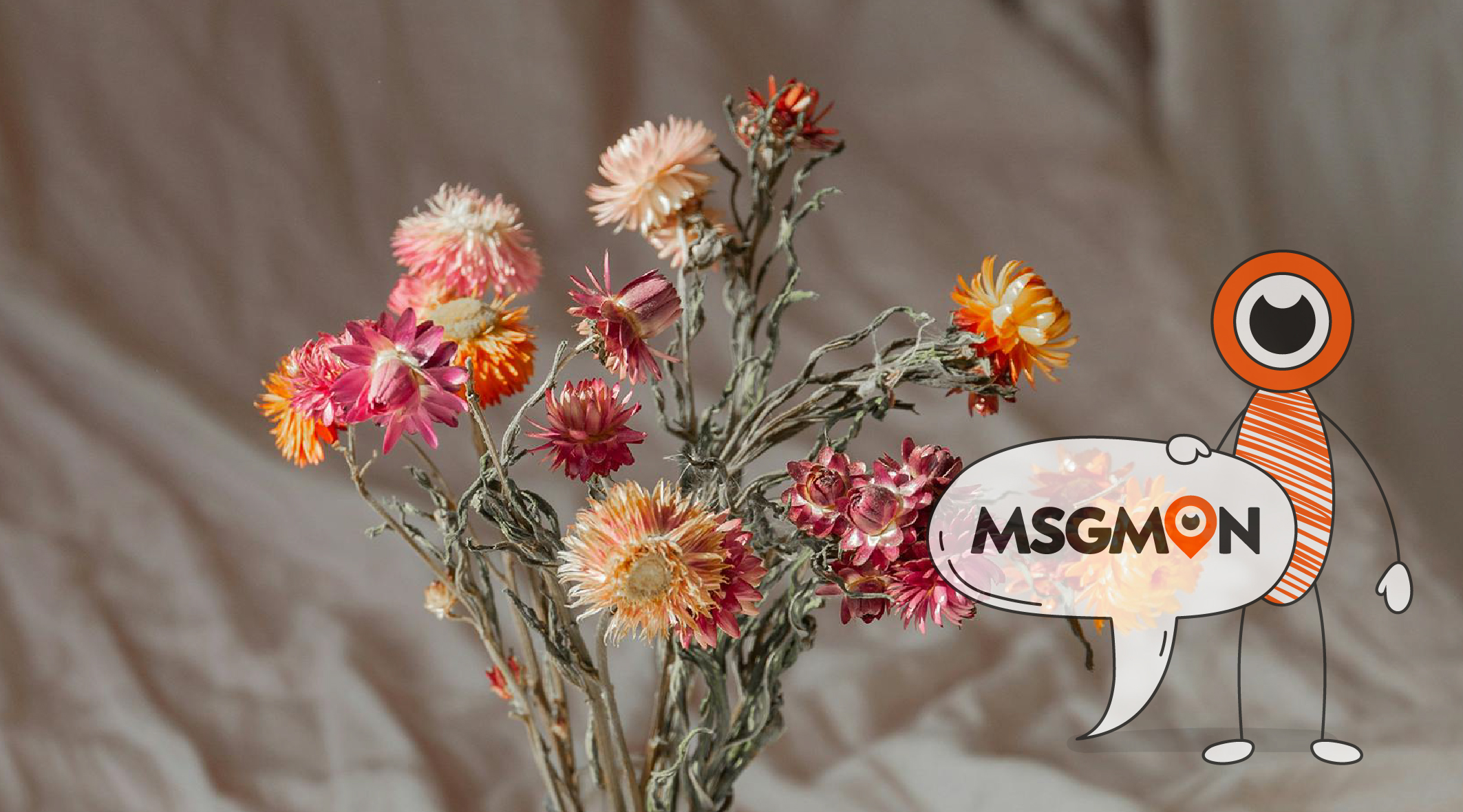 짭까사이의 특징