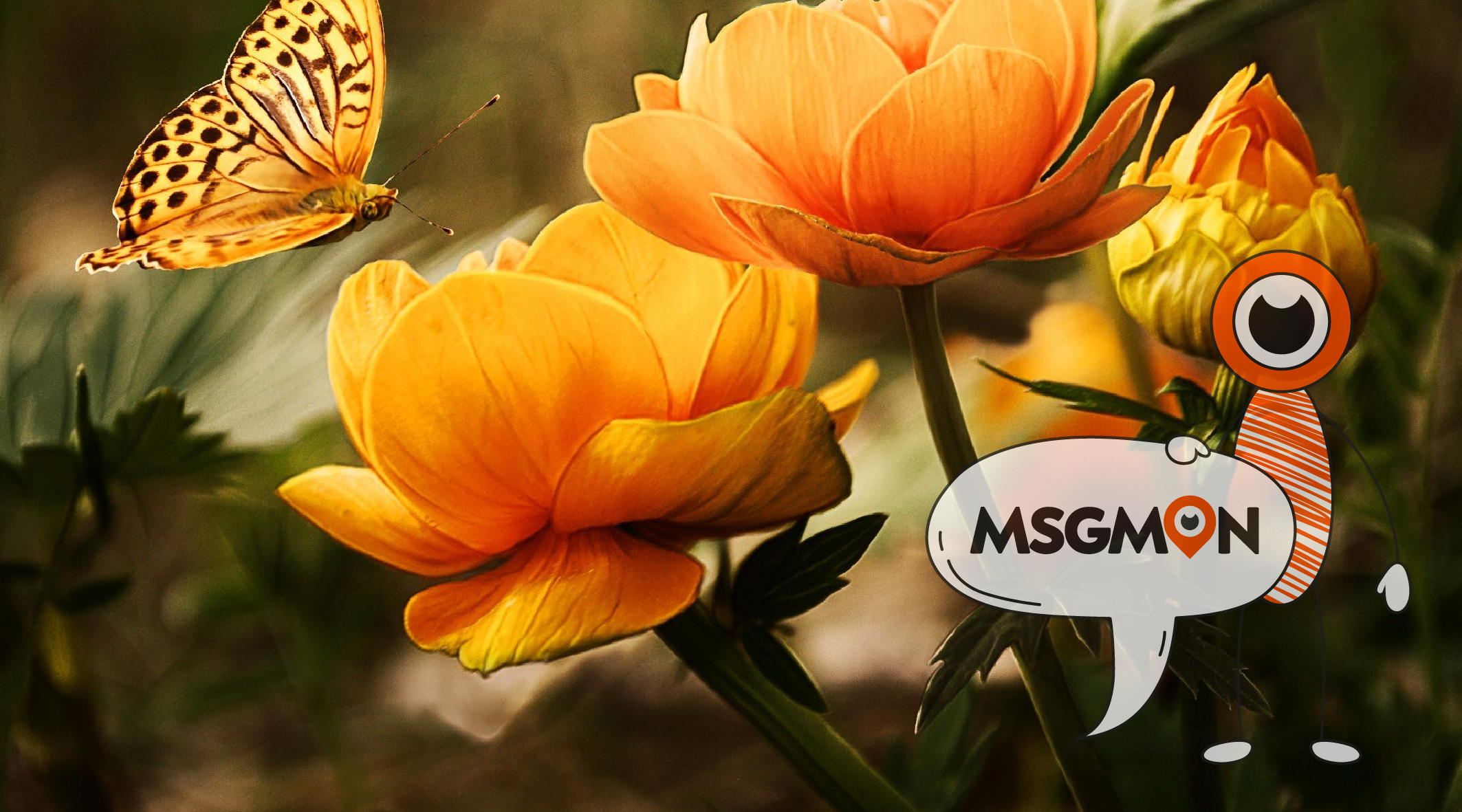 스웨디시 슈얼 차이점