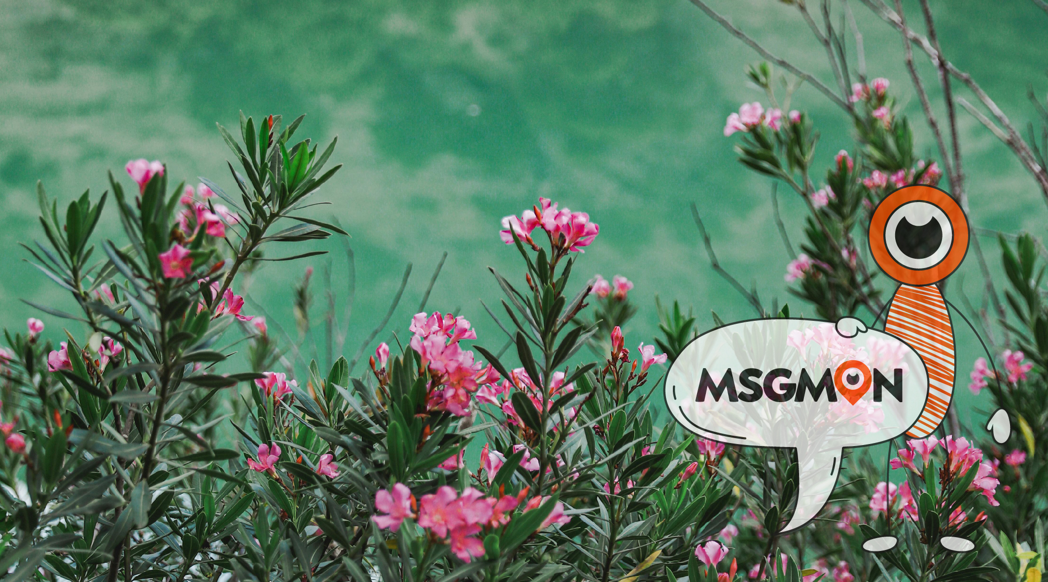 감성마사지 코스