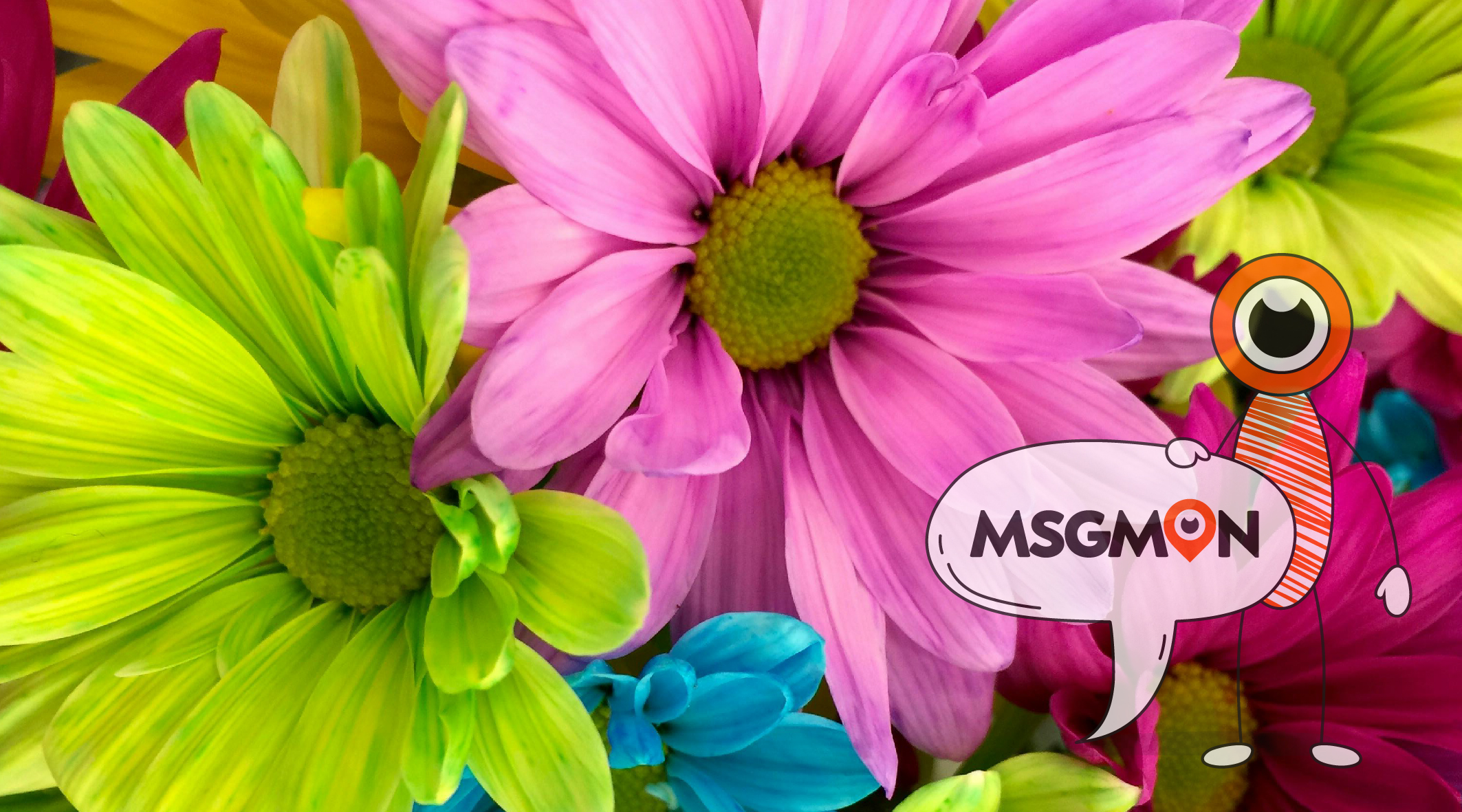 1인 스웨디시 단속 대처