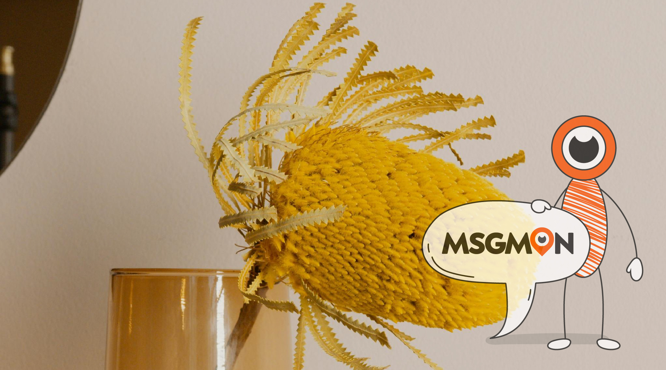 짭까디시란 무엇일까?