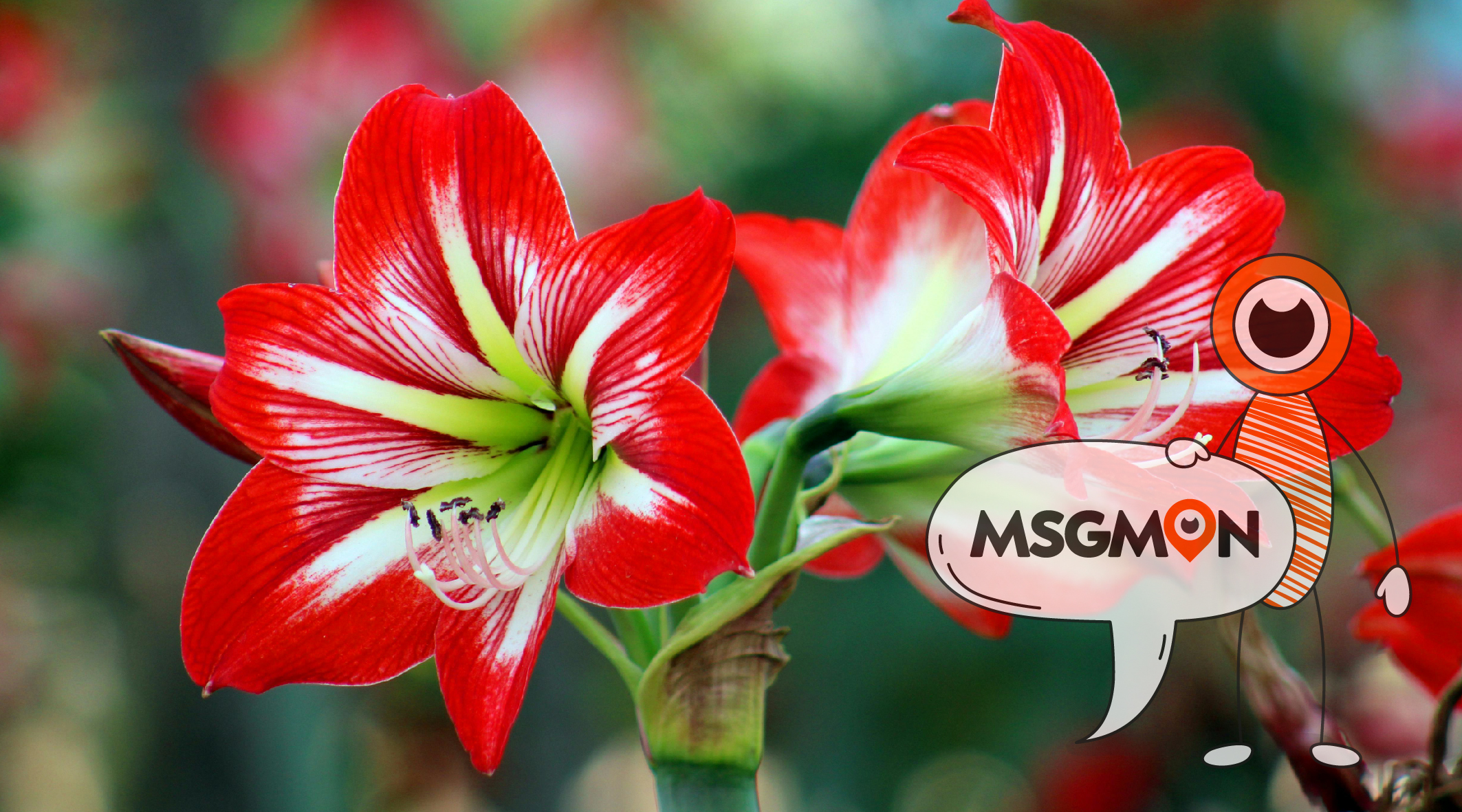 2인샵 두리코스