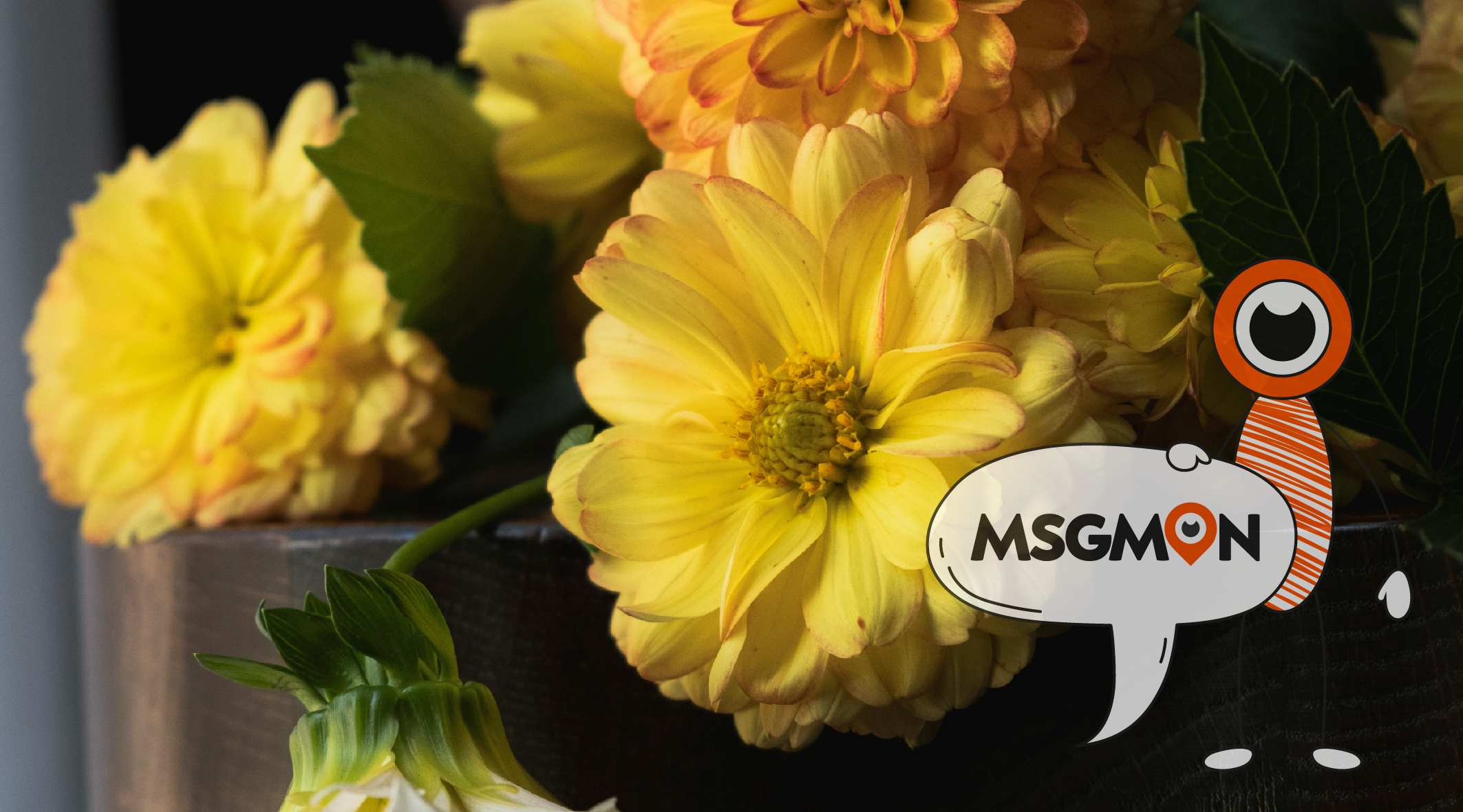 짭까사이 뜻에 대해 함께 알아봐요! 