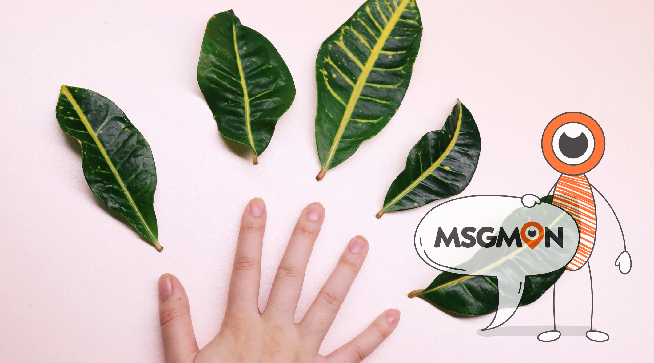 왁싱 후 마무리