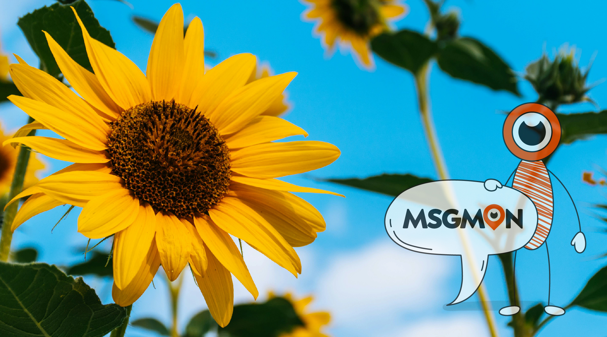 스웨디시 ㅇㅍ 뜻