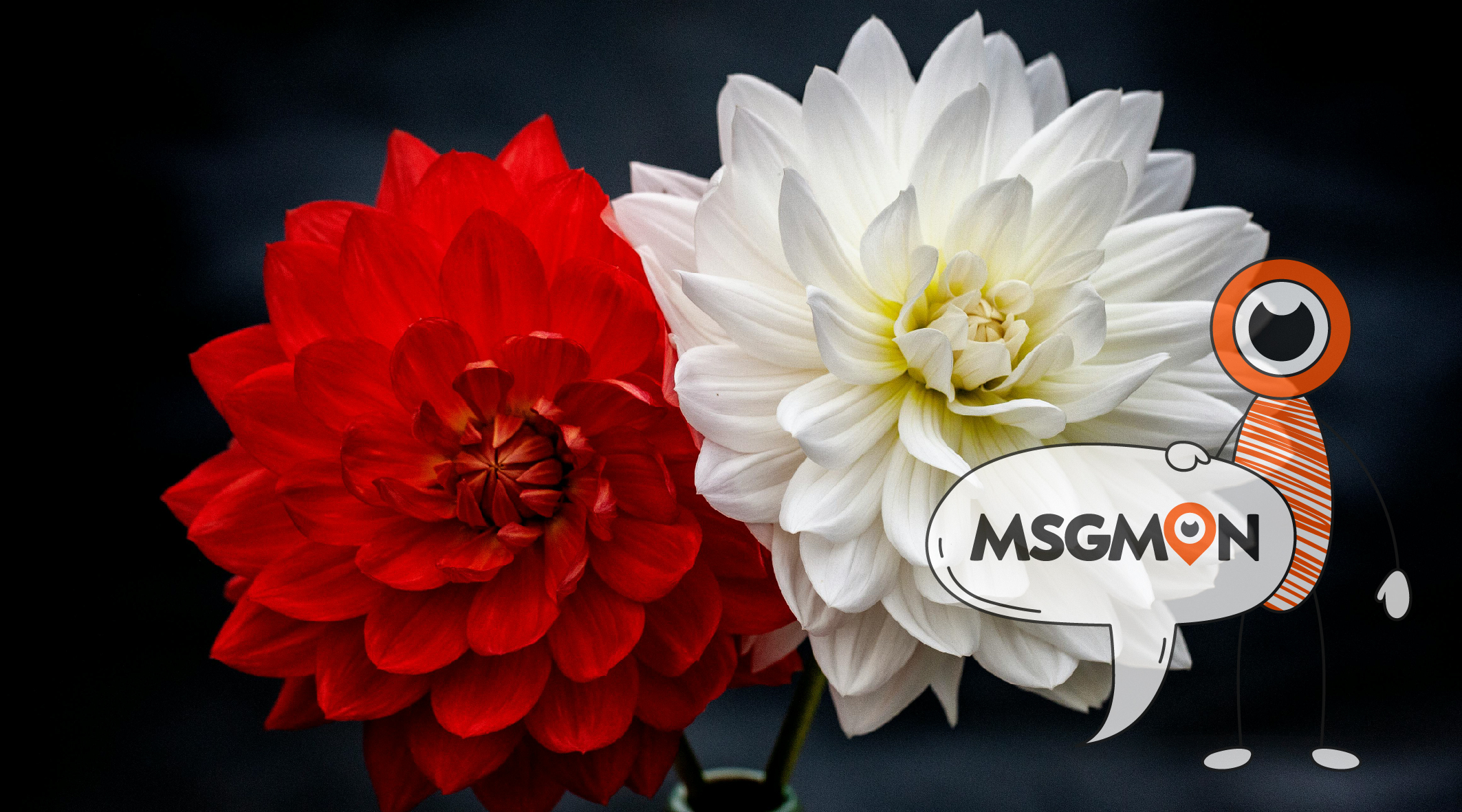 스웨디시 막탐 뜻