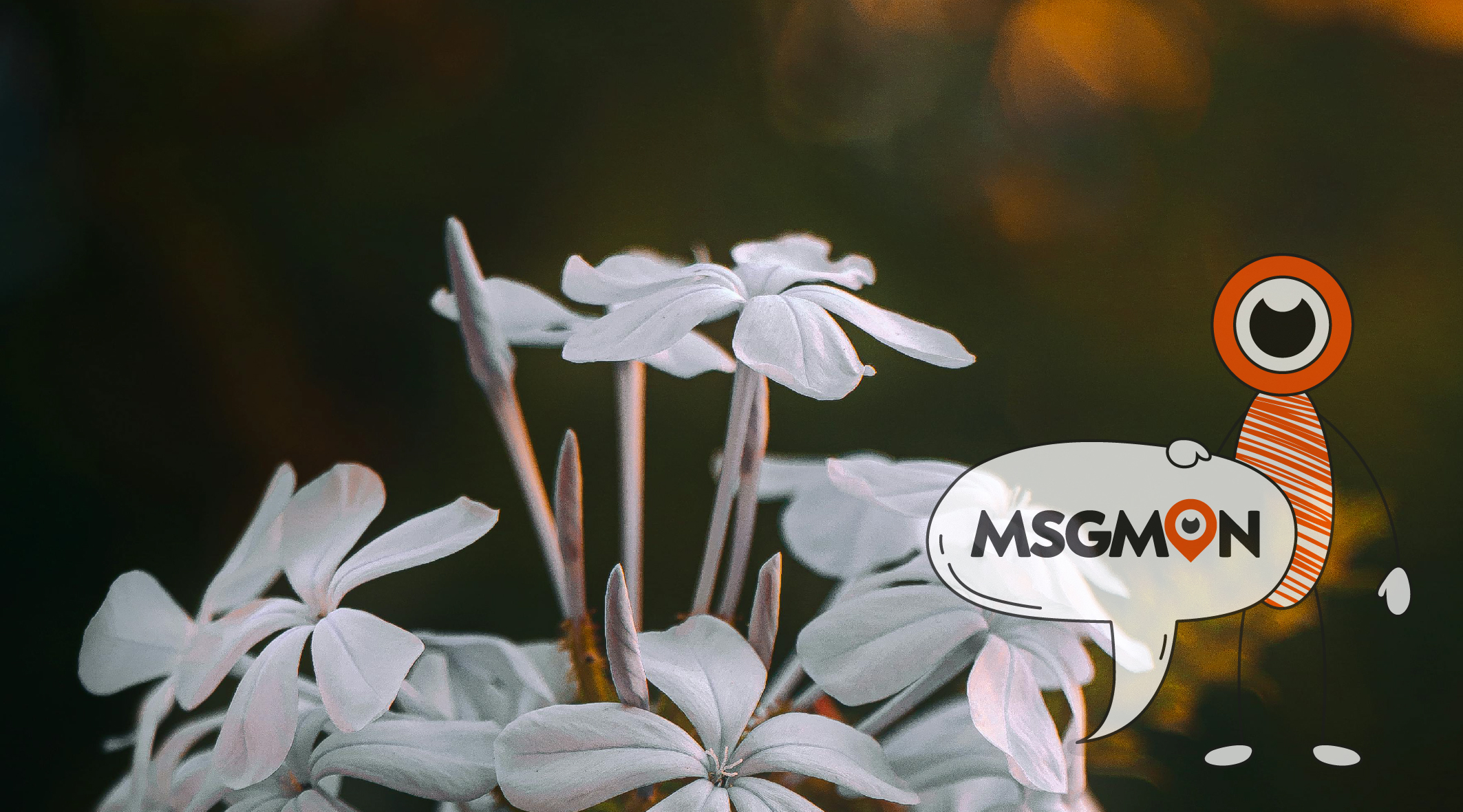 스웨디시 구분법