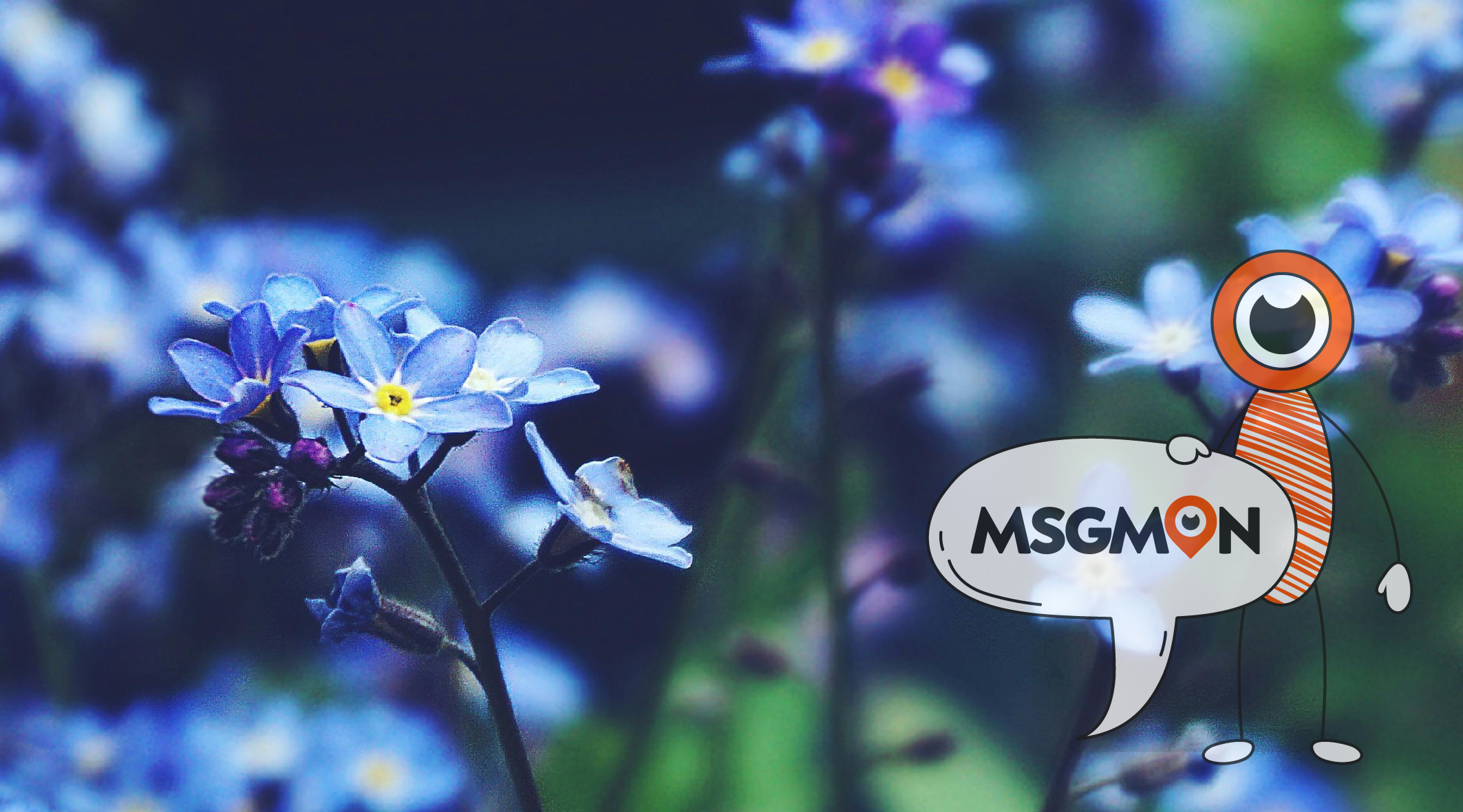 스웨디시 ㅇㅍ 뜻