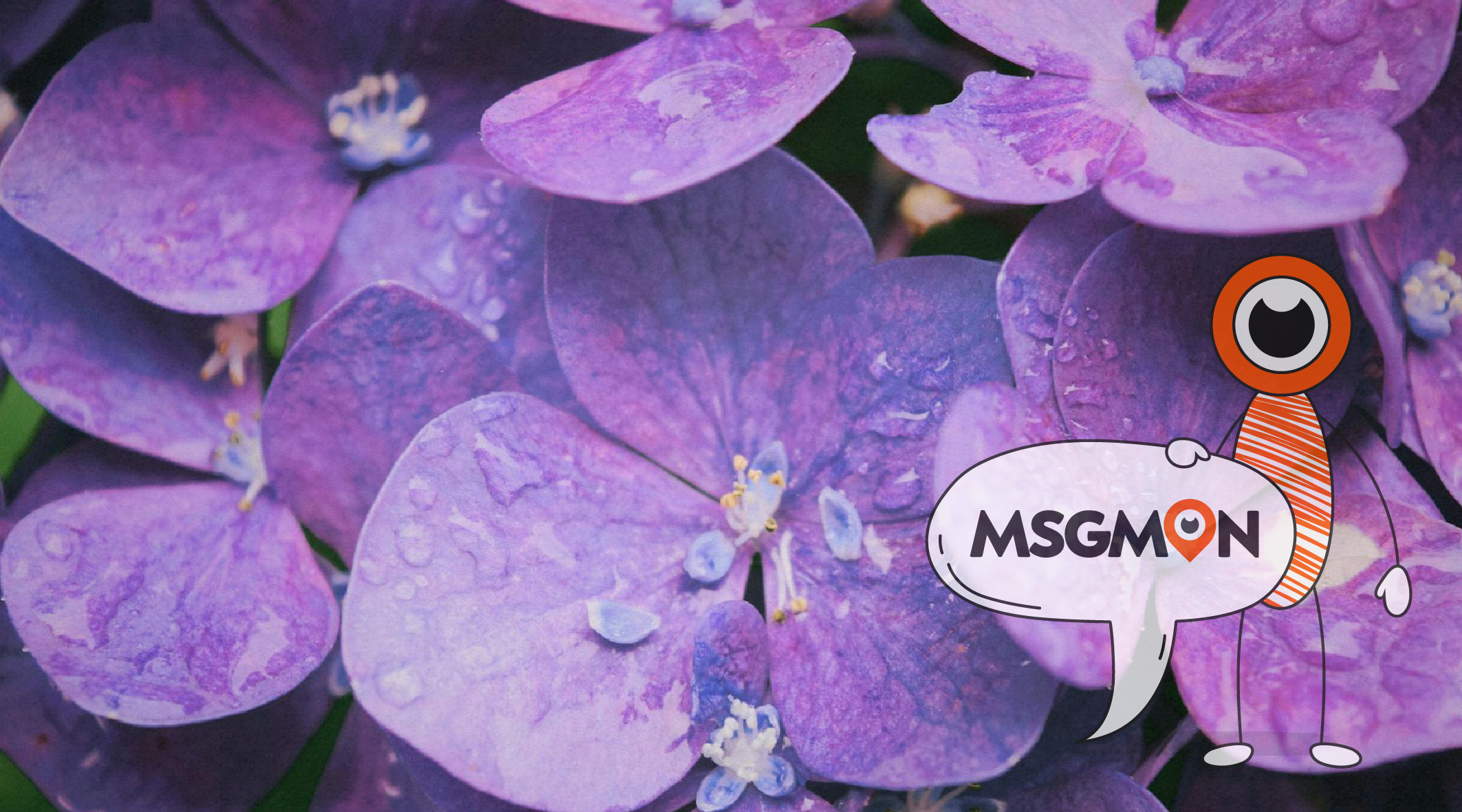 스웨디시 ㅎㄱ 뜻