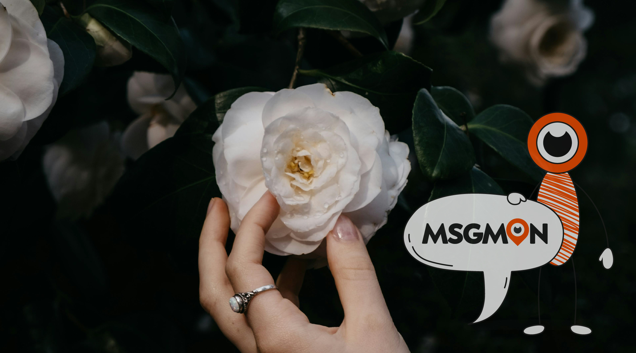 스웨디시 구분법