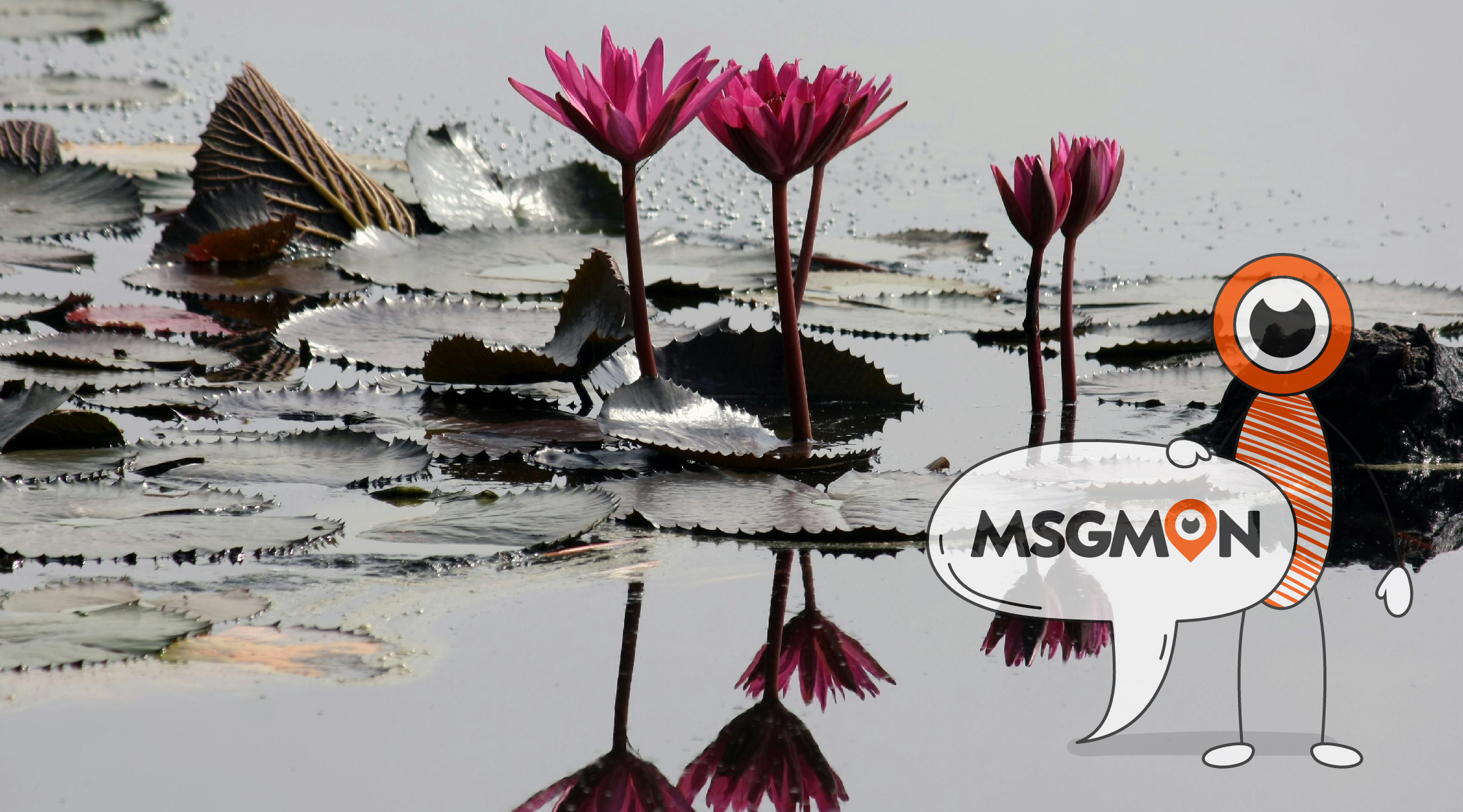 아로마테라피란