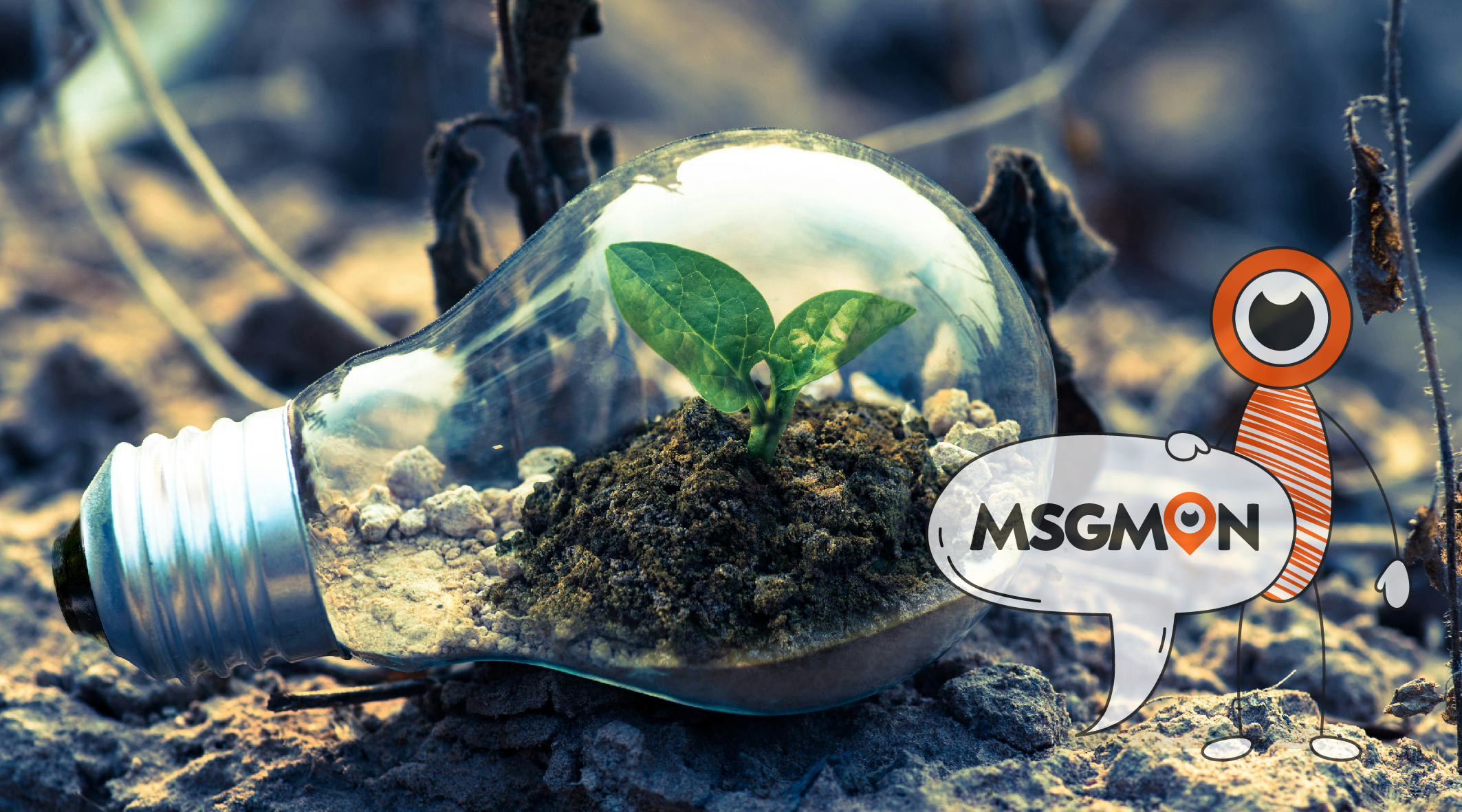 푸잉 호구 뜻과 의미