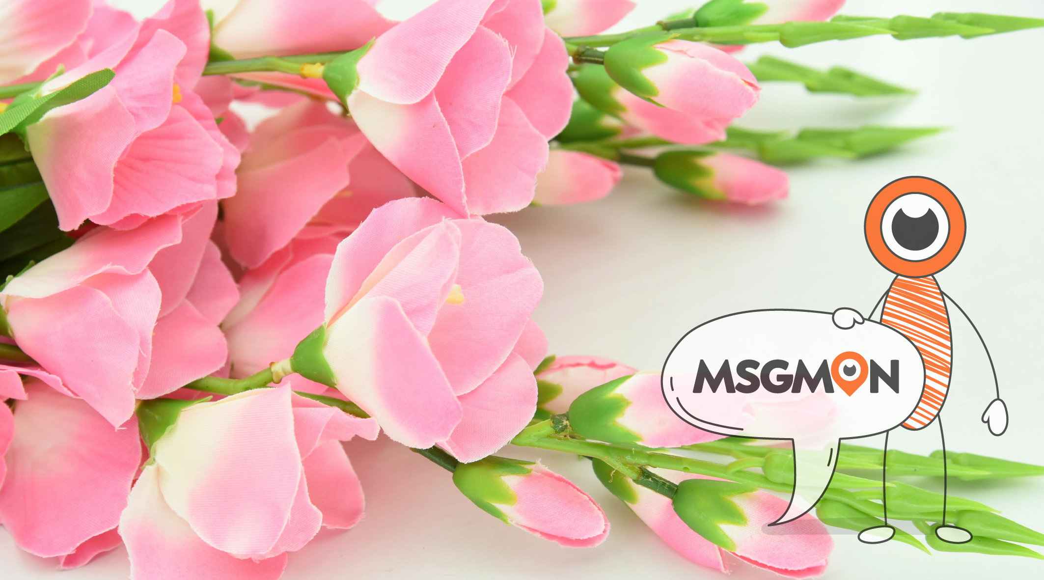 스웨디시 ㅅㅂㅅ 뜻