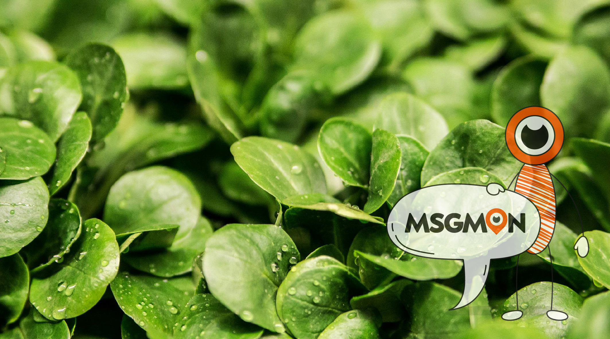 푸잉 호구 문제점