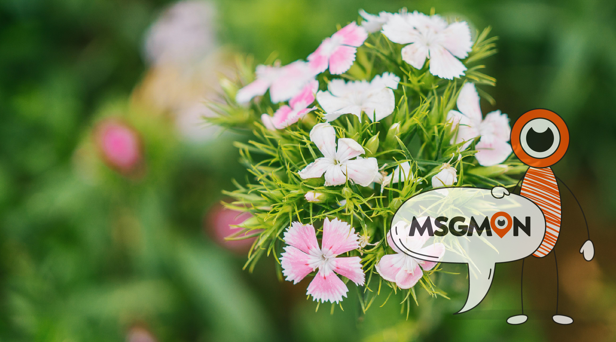 스웨디시 ㅋㅅ 뜻