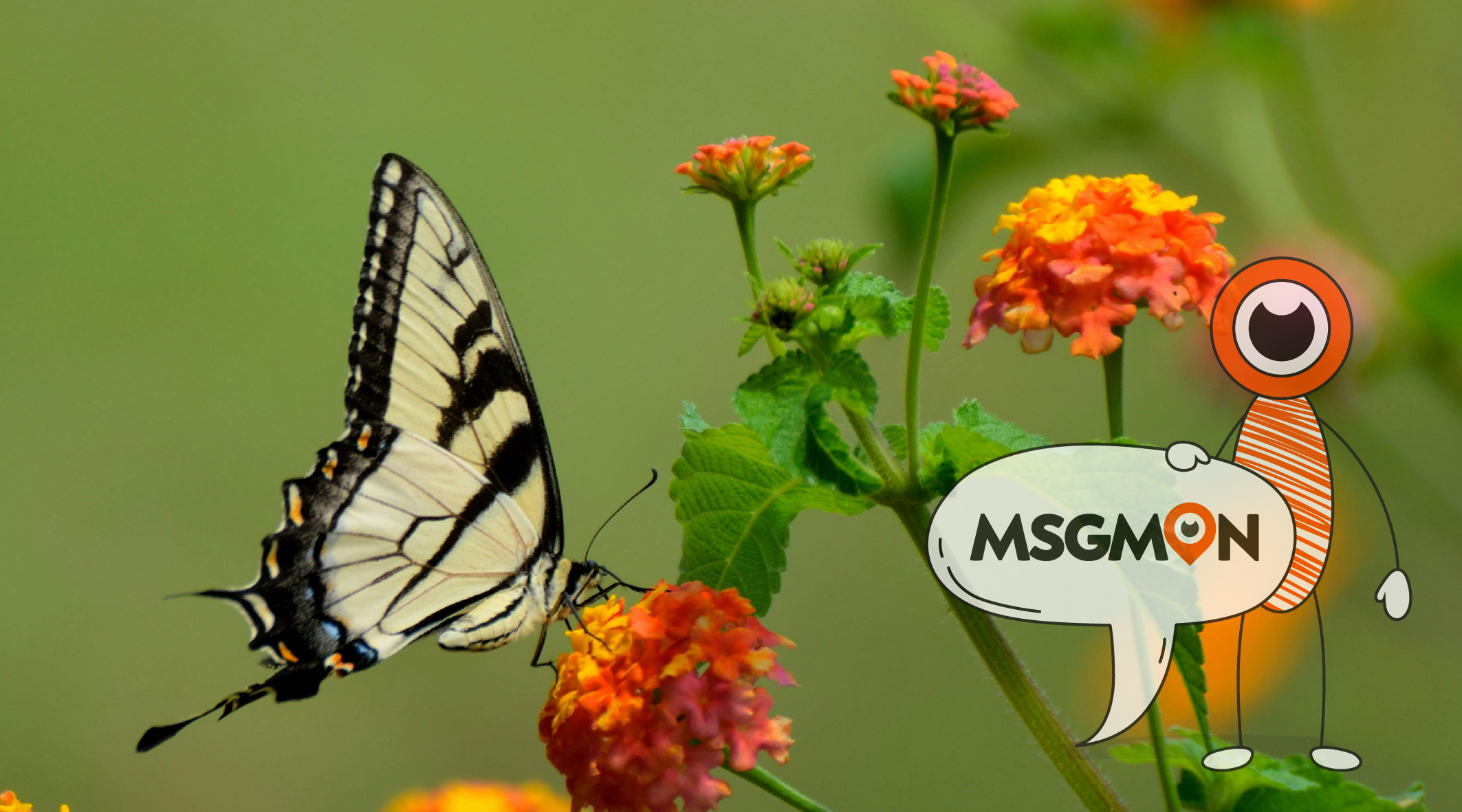 스웨디시 ㅅㅂㅅ 뜻