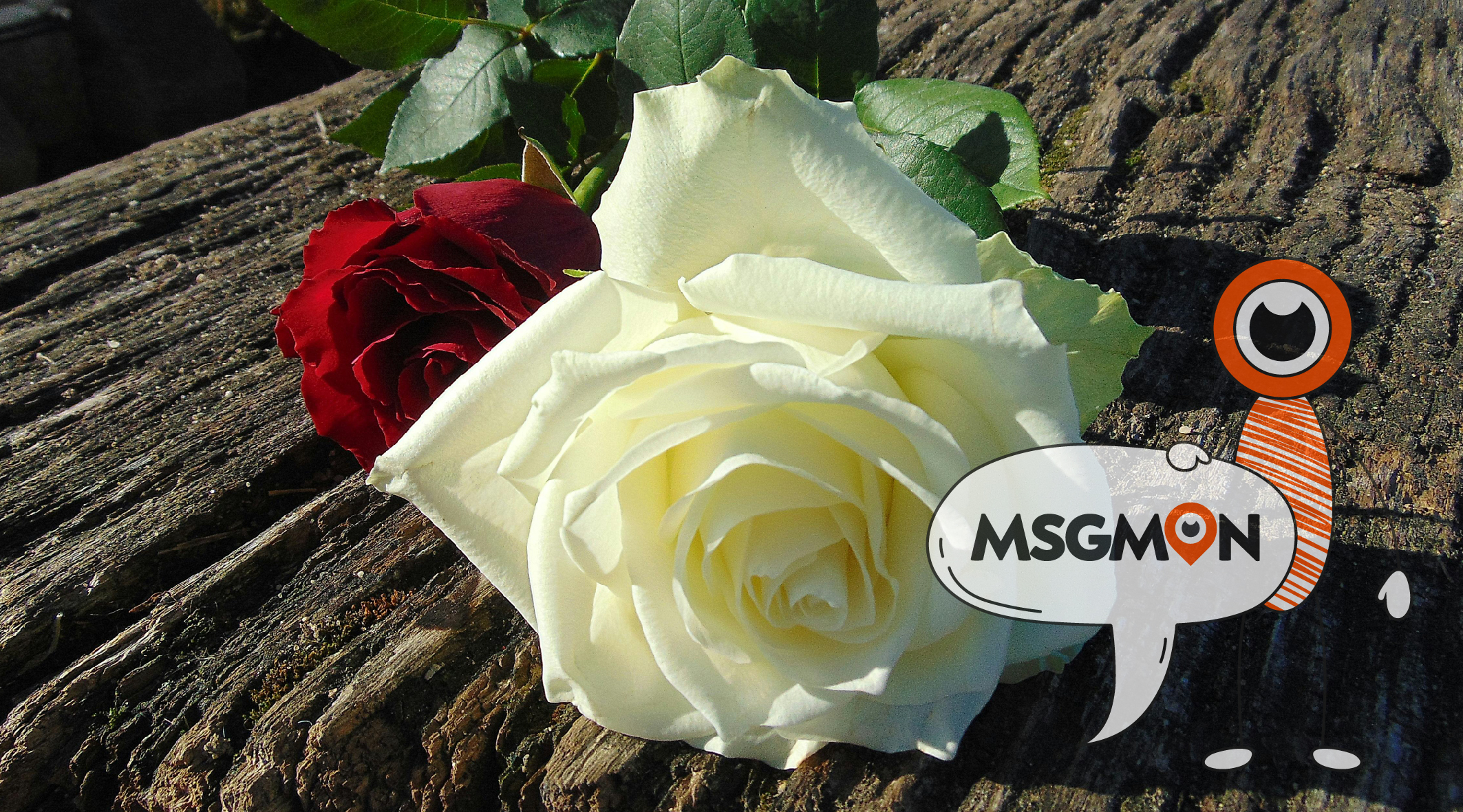 에션셜 오일 안정성