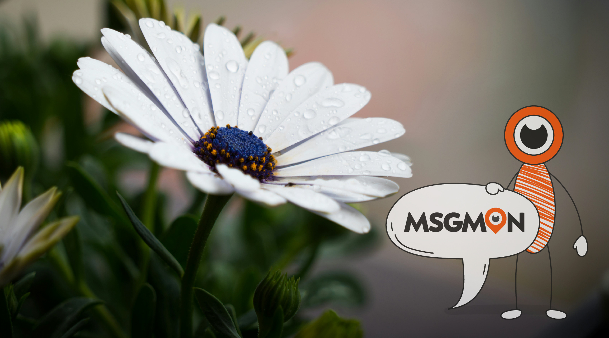 스웨디시 ㅅㅂㅅ 뜻