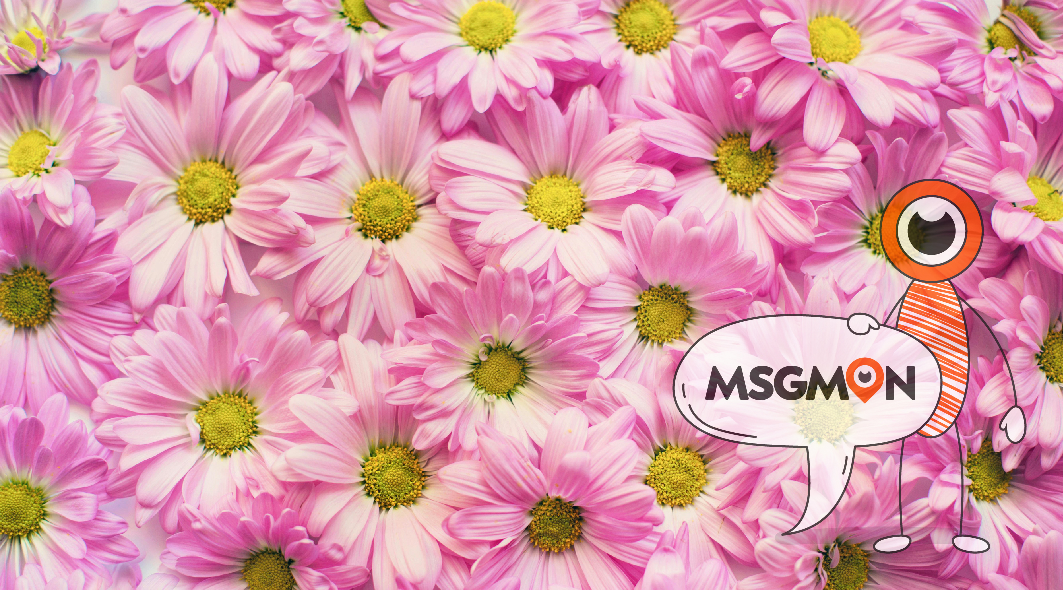 스웨디시 평균 가격