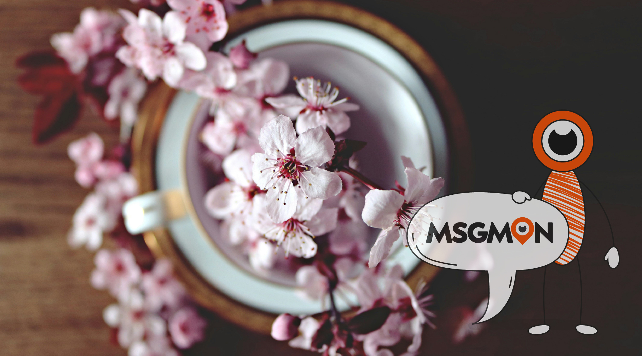 스웨디시 ㅅㅂㅅ 뜻