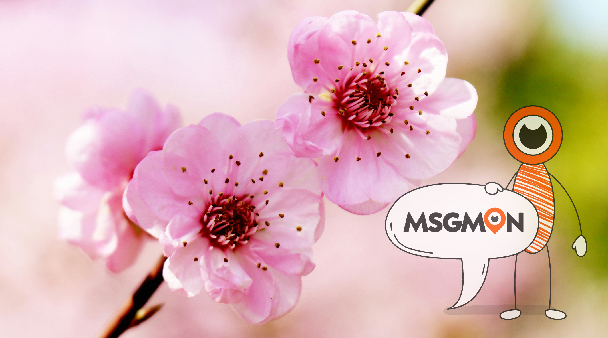 스웨디시 주의사항