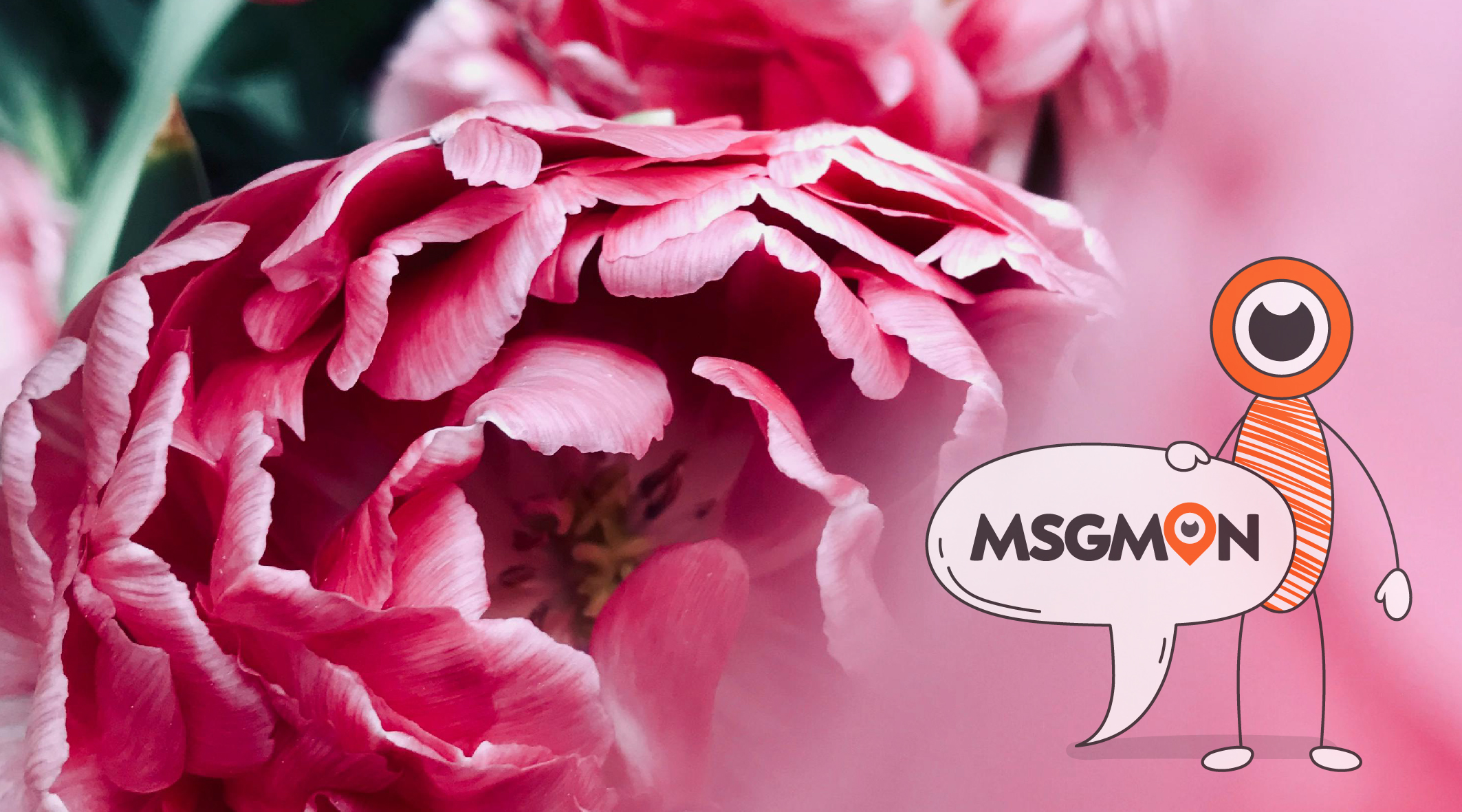 스웨디시 ㅇㅍ 뜻