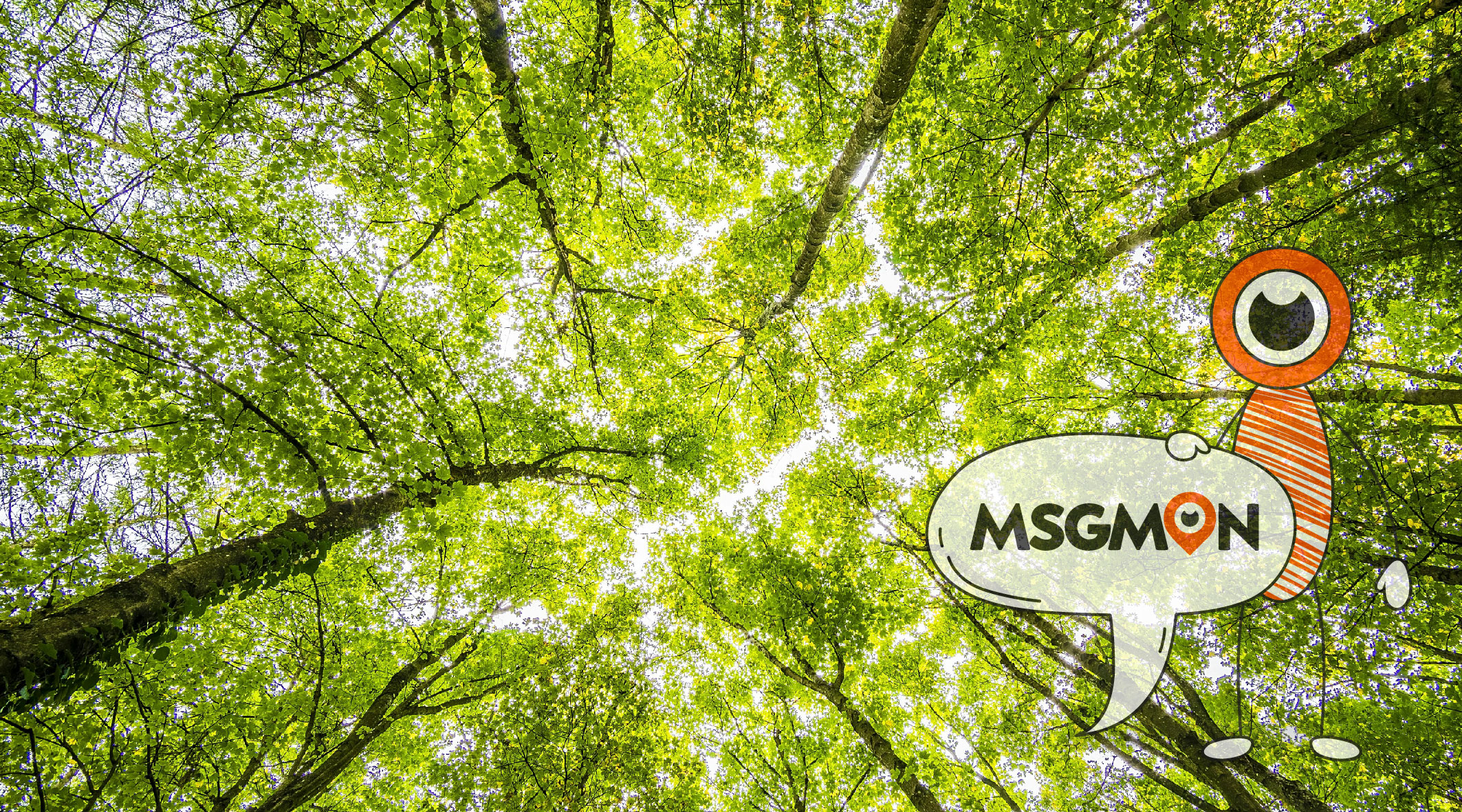 슈얼 스웨디시 차이점