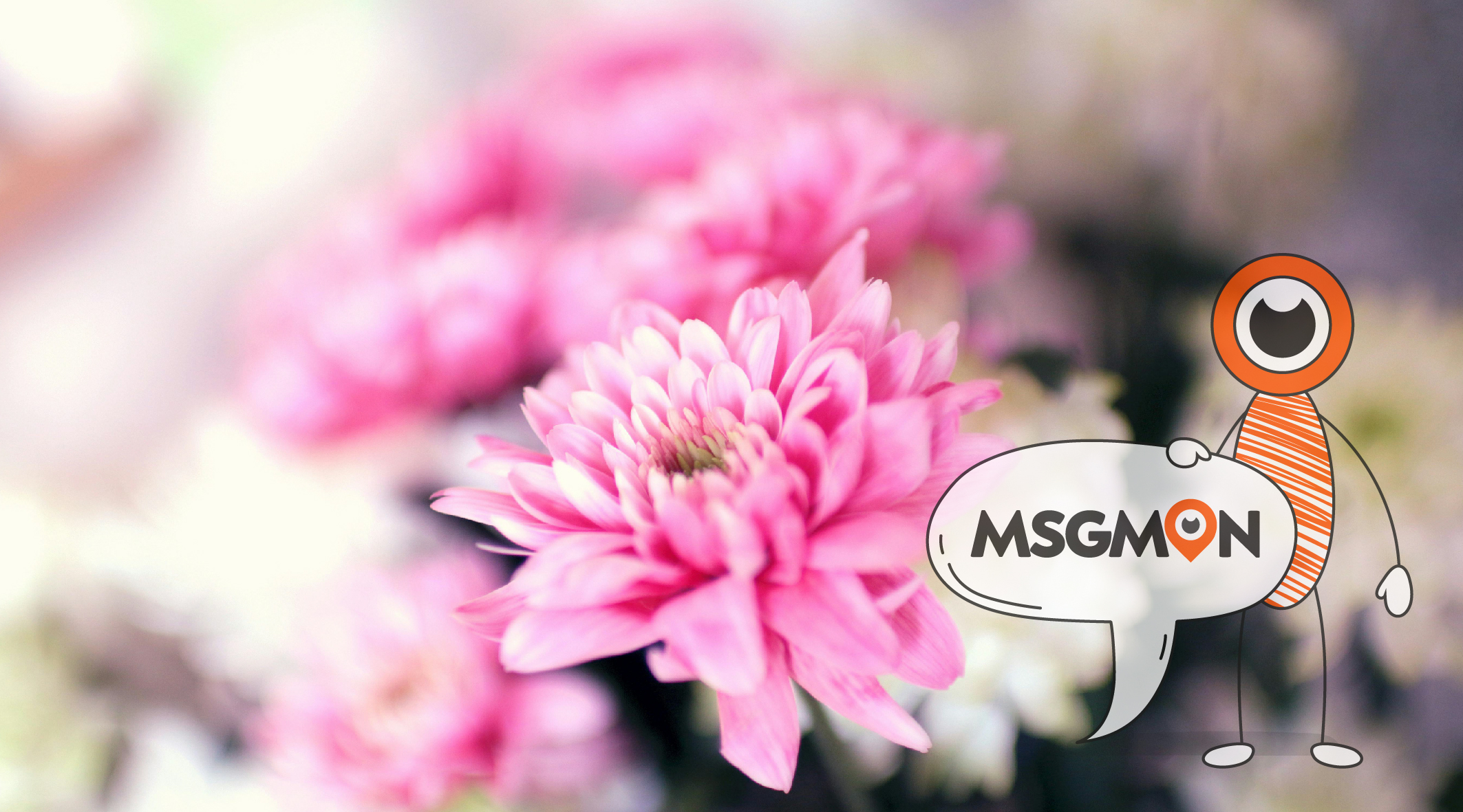 스웨디시 2만원 차이