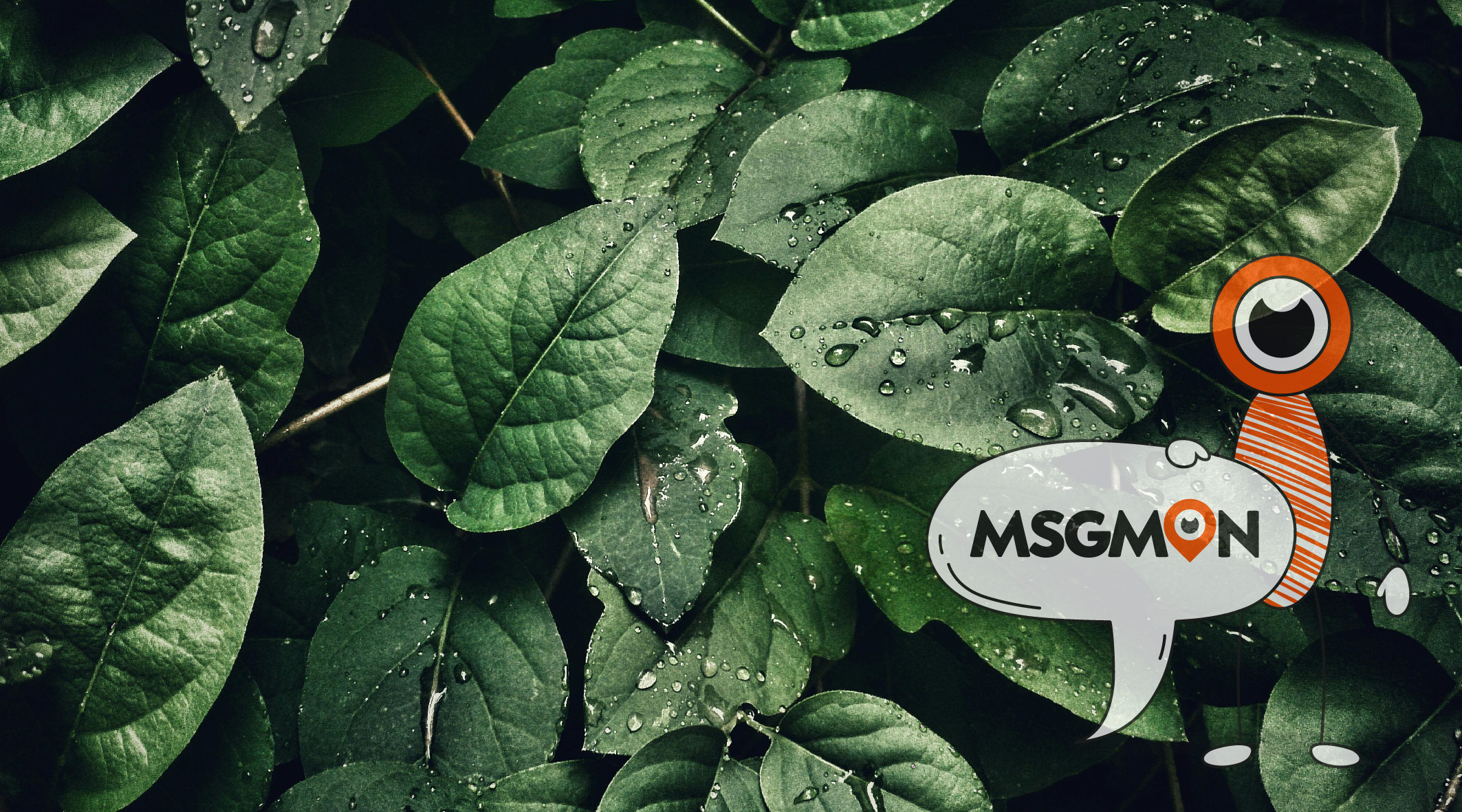 고객 입장 차이