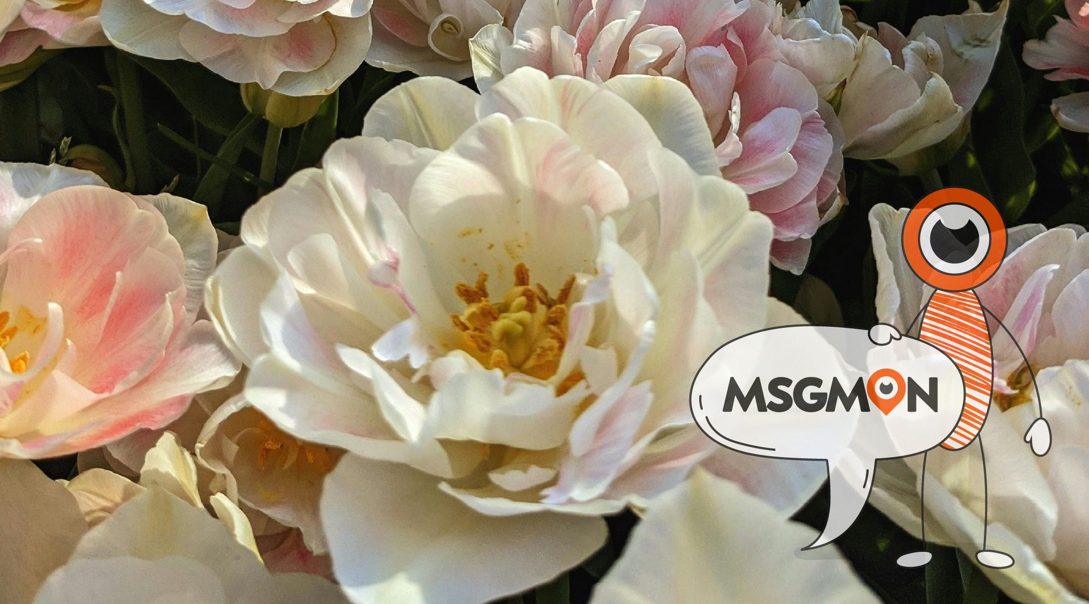 선택은 신중하게