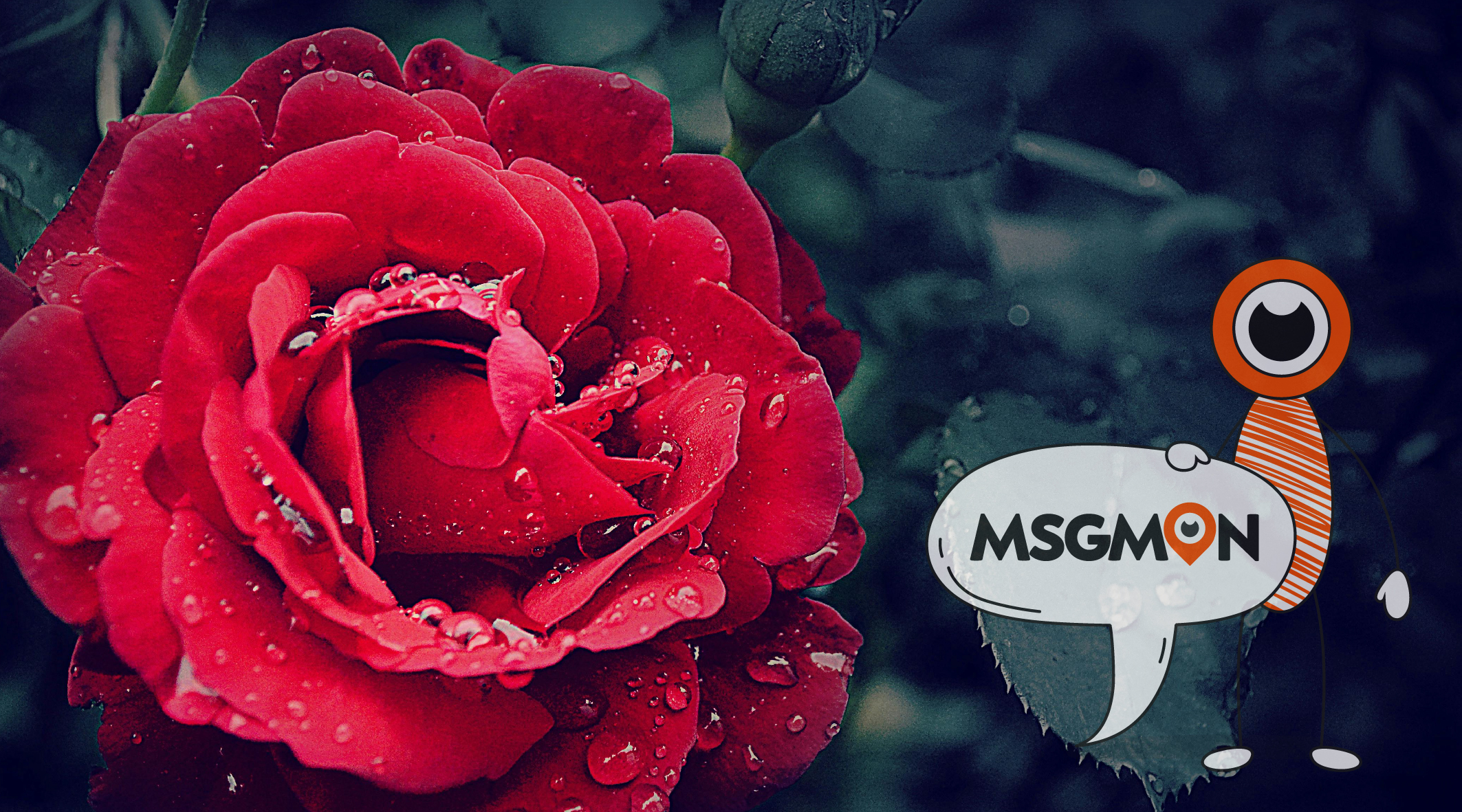 스웨디시 마무리 뜻