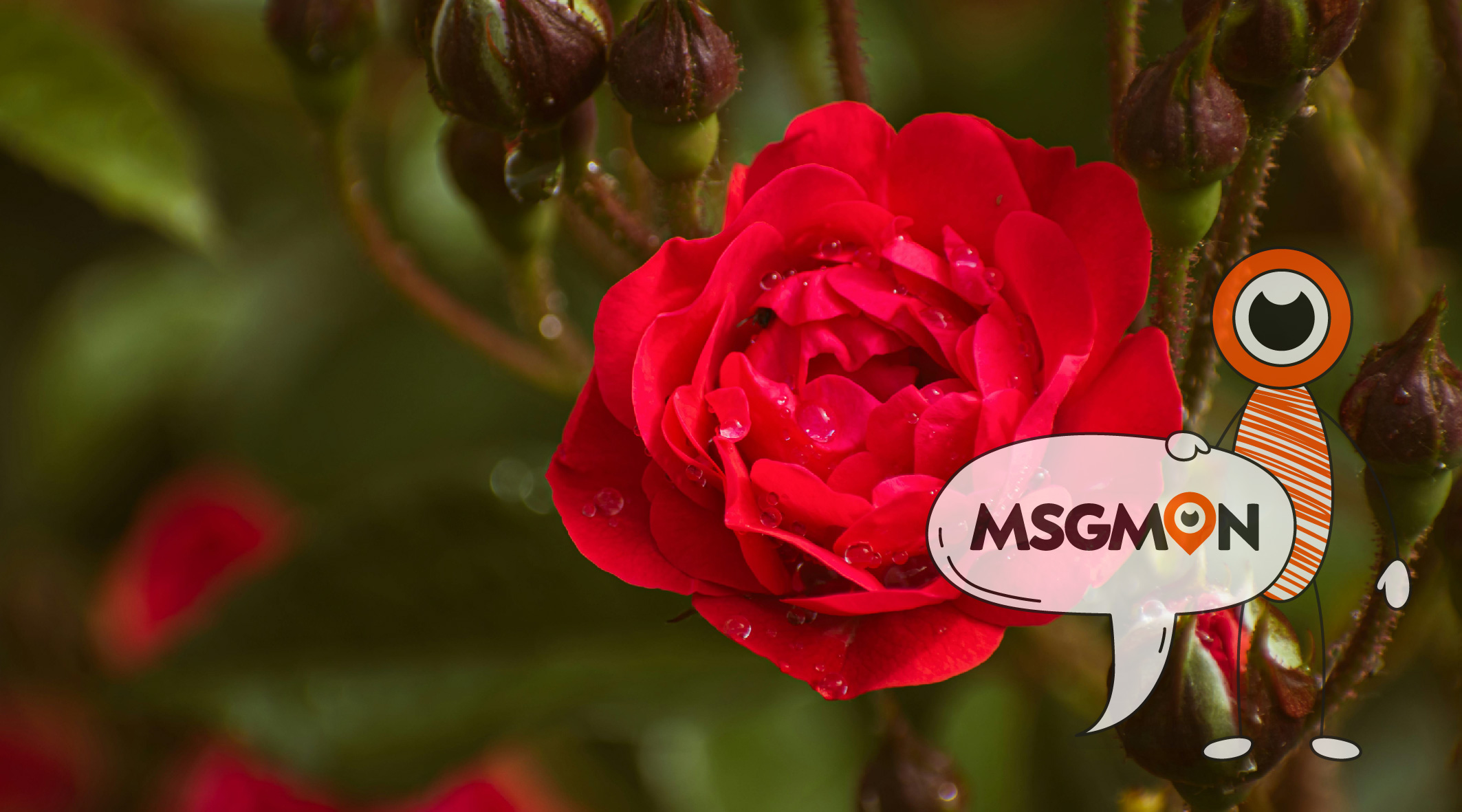 타이마사지 꿀팁 마지막