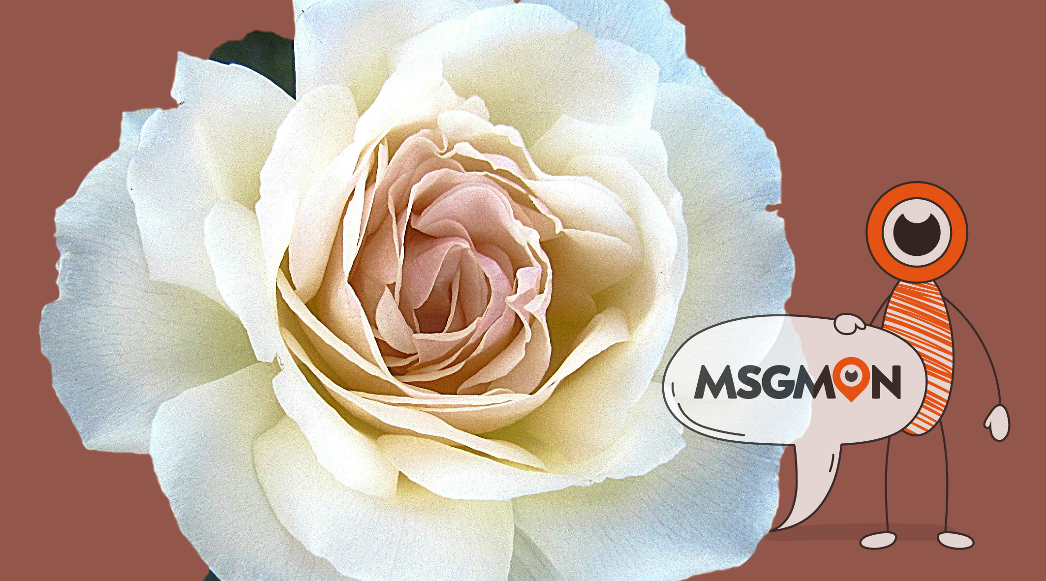 스웨디시 마무리 뜻