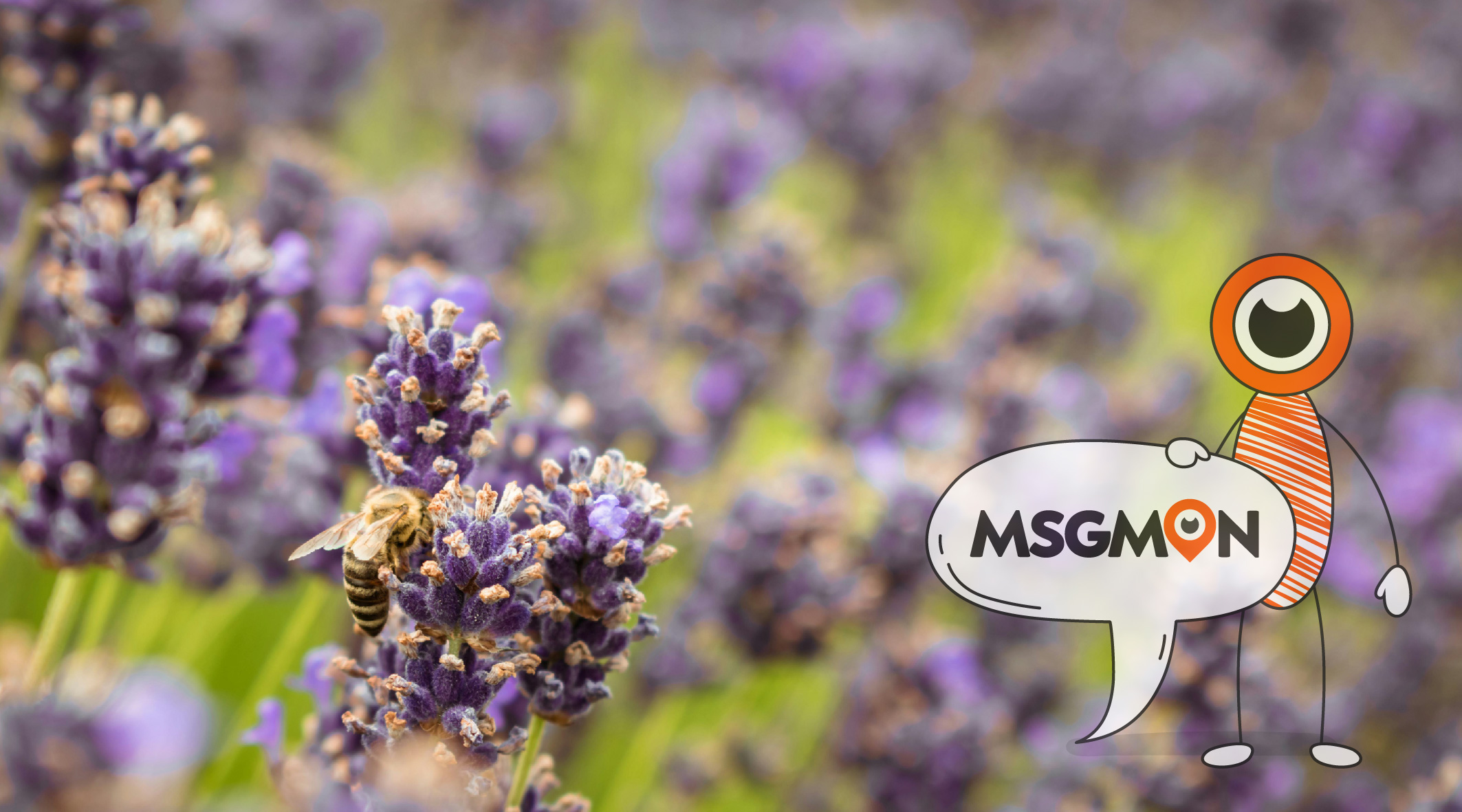 타이마사지 꿀팁 세번째