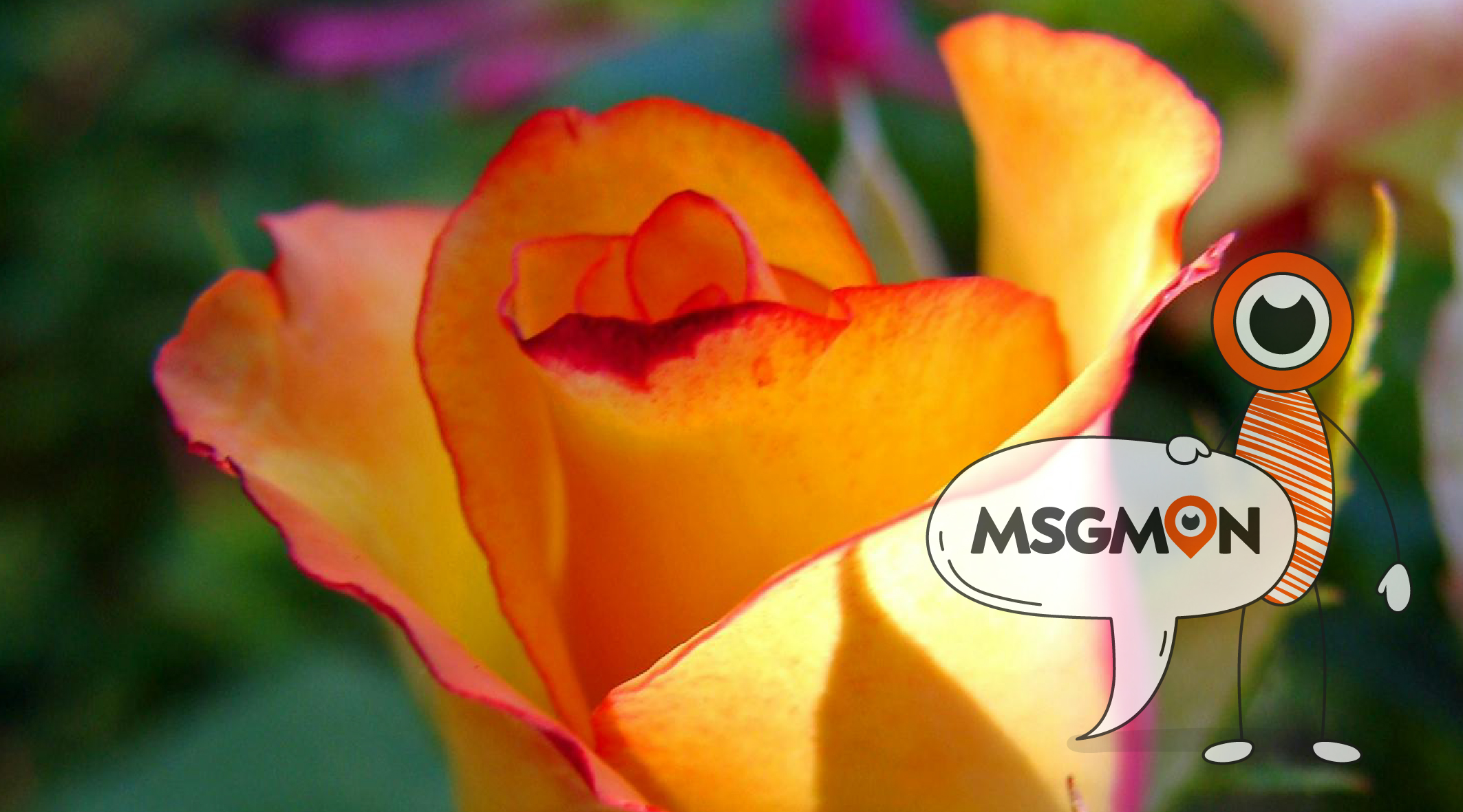 스웨디시 스페셜 코스