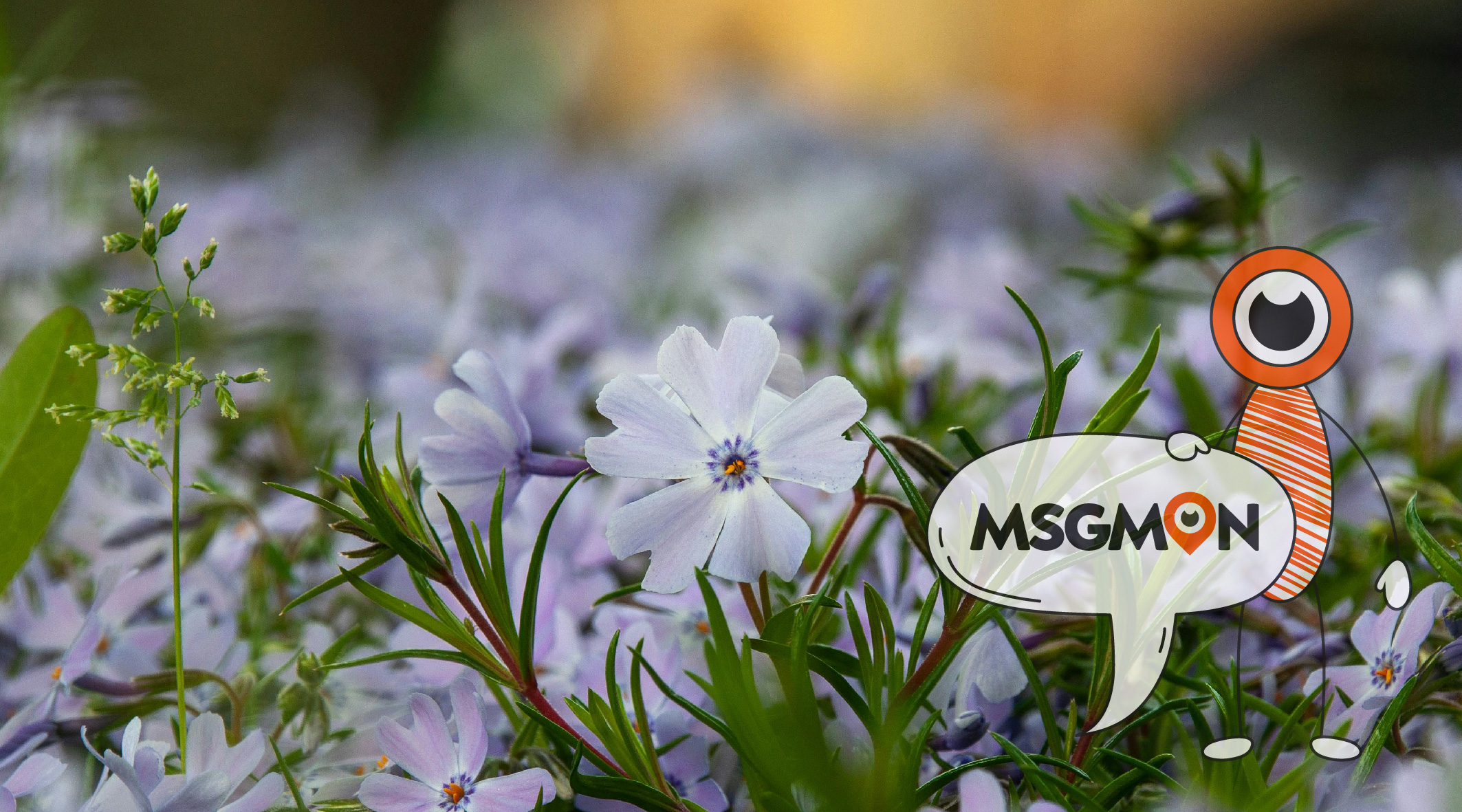 마사지샵 카운터 알바