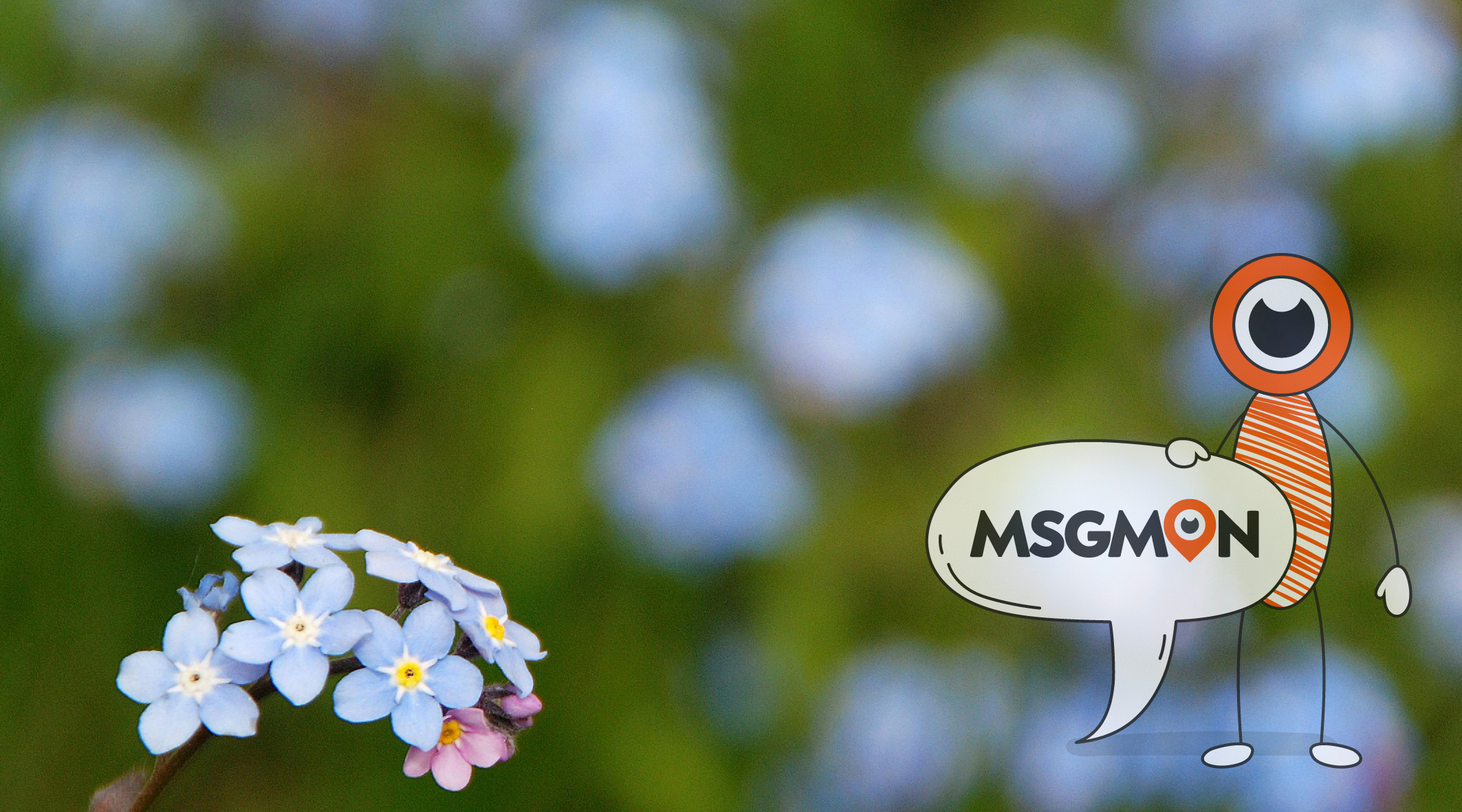 스웨디시 김치 뜻