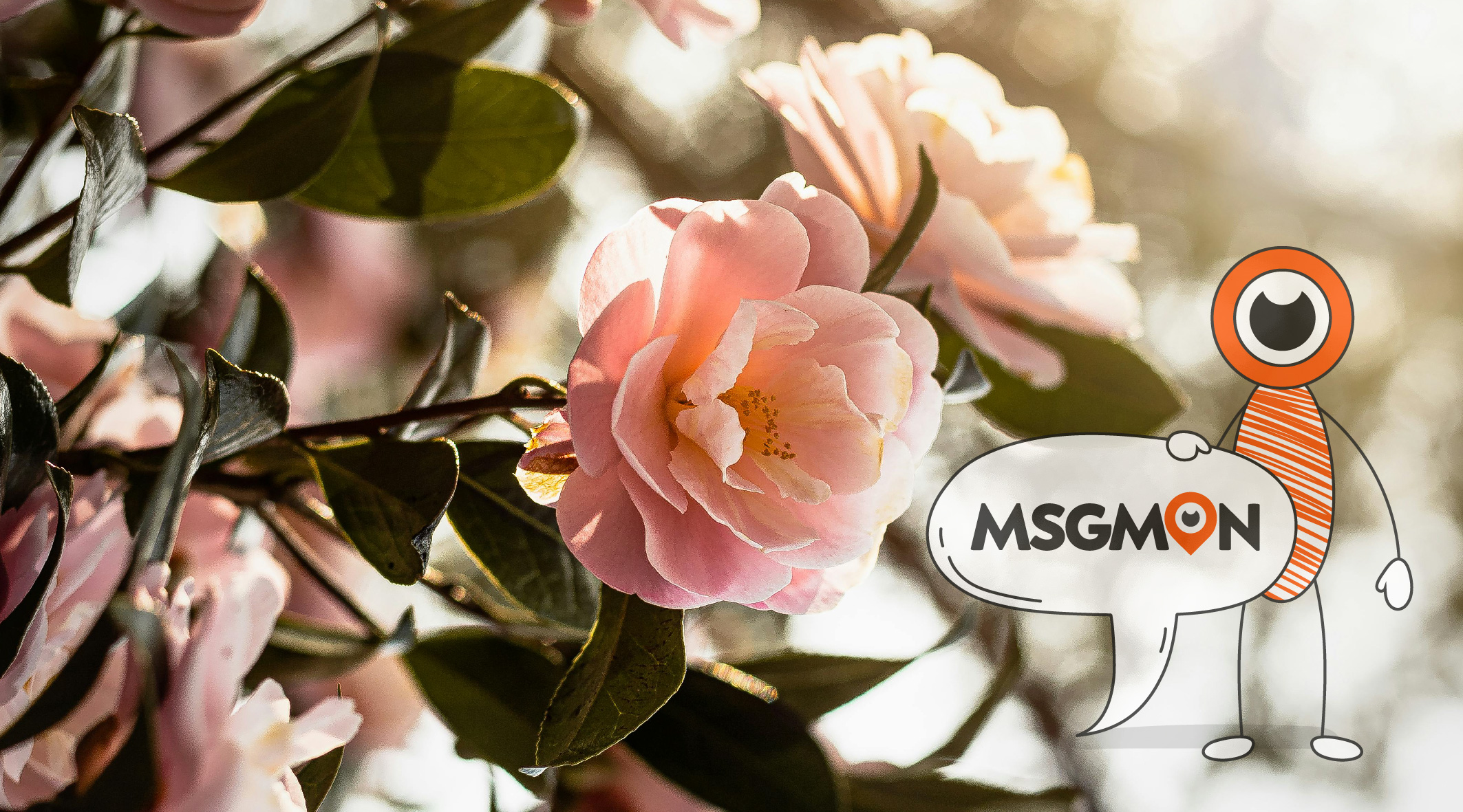 마사지는 역시 마사지몬